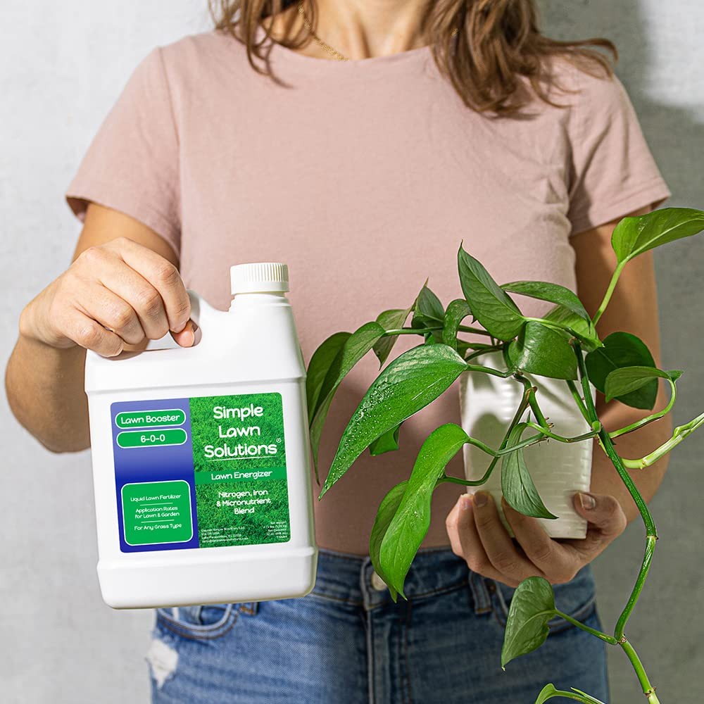 Commercial Lawn Energizer Iron Nitrogen Micronutrient – Liquid Turf Concentra…