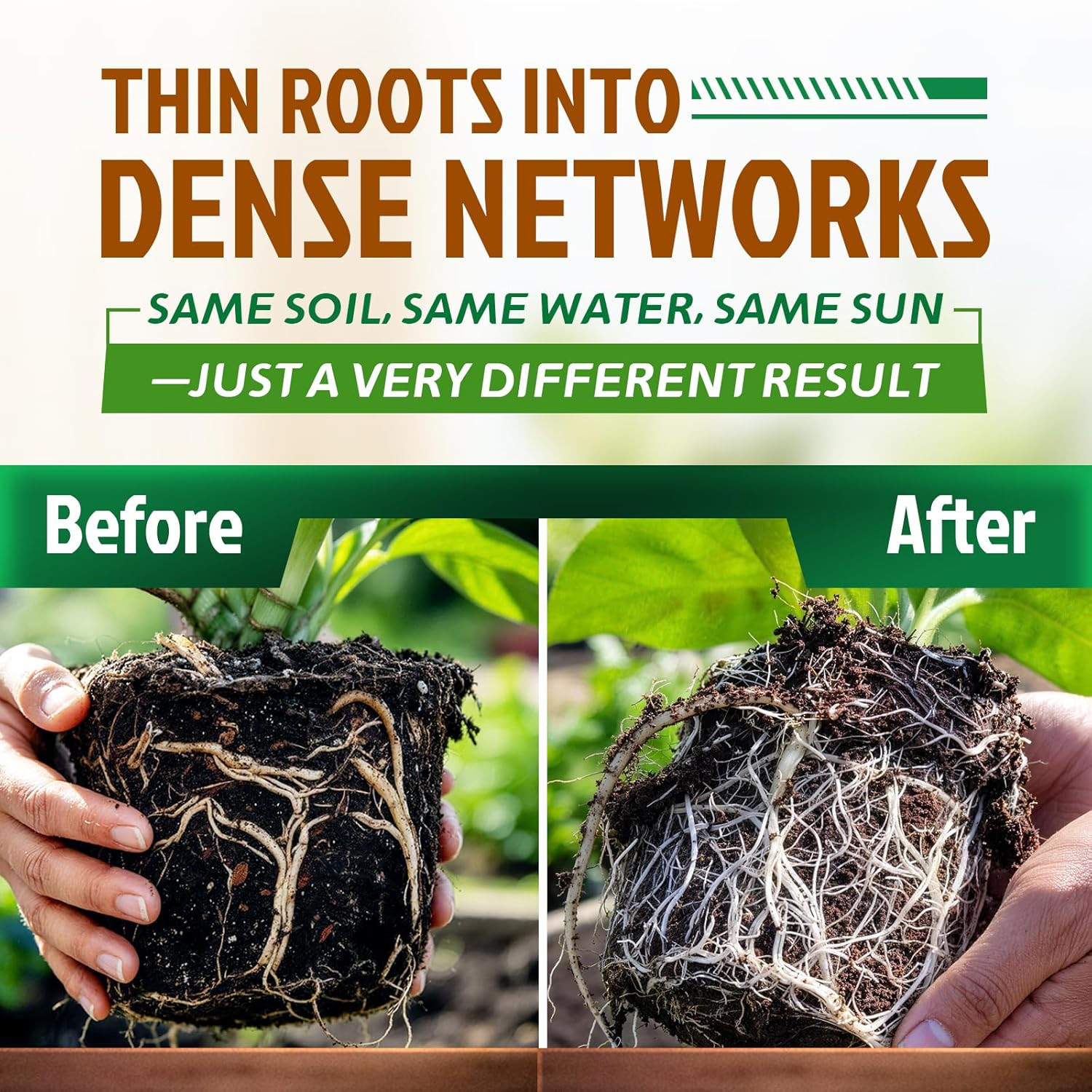 Dr.Raifya’s Mycorrhizal Fungi Inoculant, 10X Concentrated Up to 700 Plants – Org