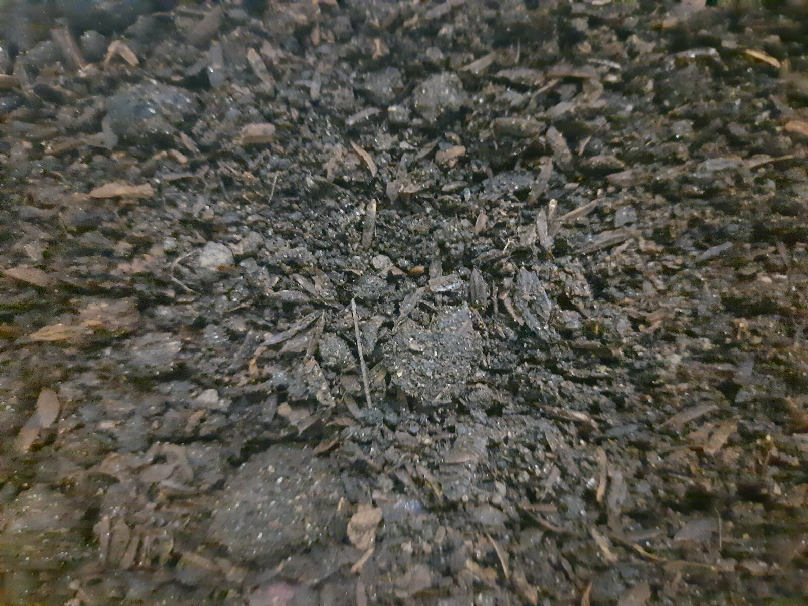 Compost Organic Dried mixing fertilizer Cow Dung,chicken Manure,Goat Dung Ceylon