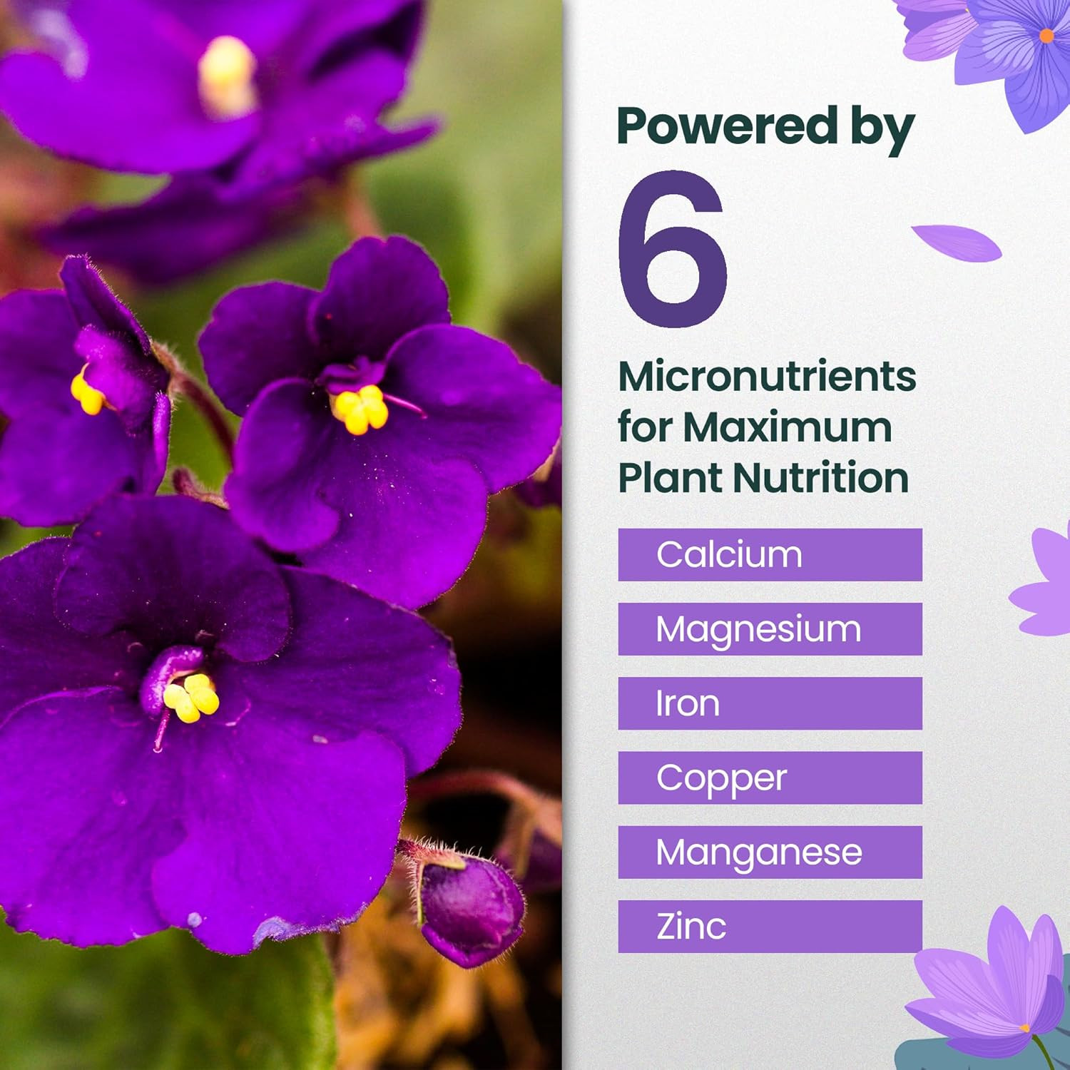 16Oz African Violet Fertilizer for African Violets Live Plants – Makes 24 Gallon