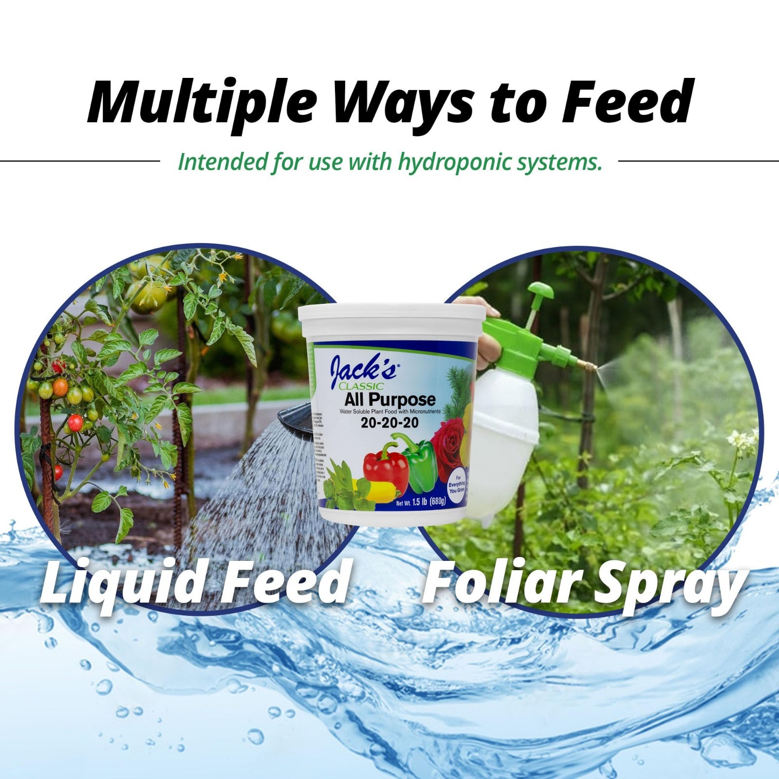 Water Soluble Plant Food 20-20-20 – 1.5lbs, Micronutrient Boost for Growth & Gre