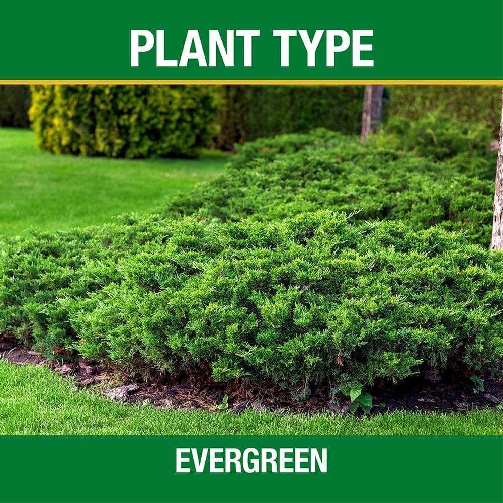 3.5 Lb. All Season Tree, Shrub and Evergreen Plant Food (16-4-8)