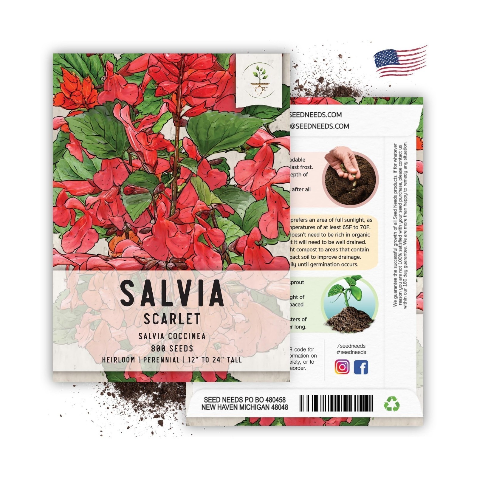Seed Needs, Scarlet Red Sage Seeds – 800 Heirloom Seeds for Planting Salvia c…