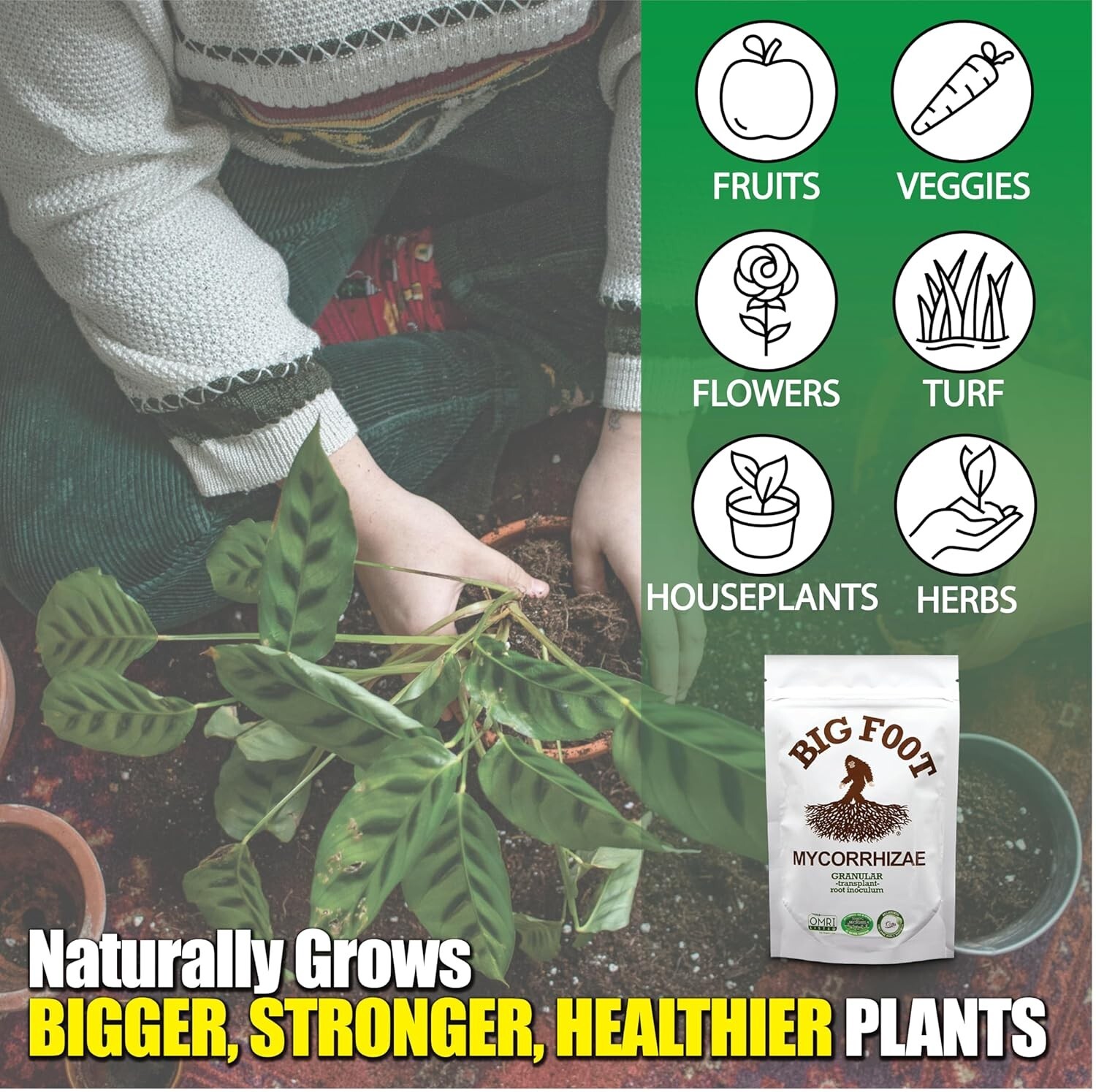 Mycorrhizae – Double Your Plant Size – Easy to Use – – Treats 30 Plants 7,50…