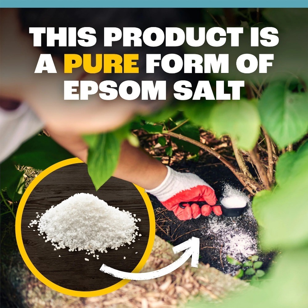 Epsom Salt Plant Food Fertilizer for Plants 7 Lb Magnesium Sulfate Soil Booster
