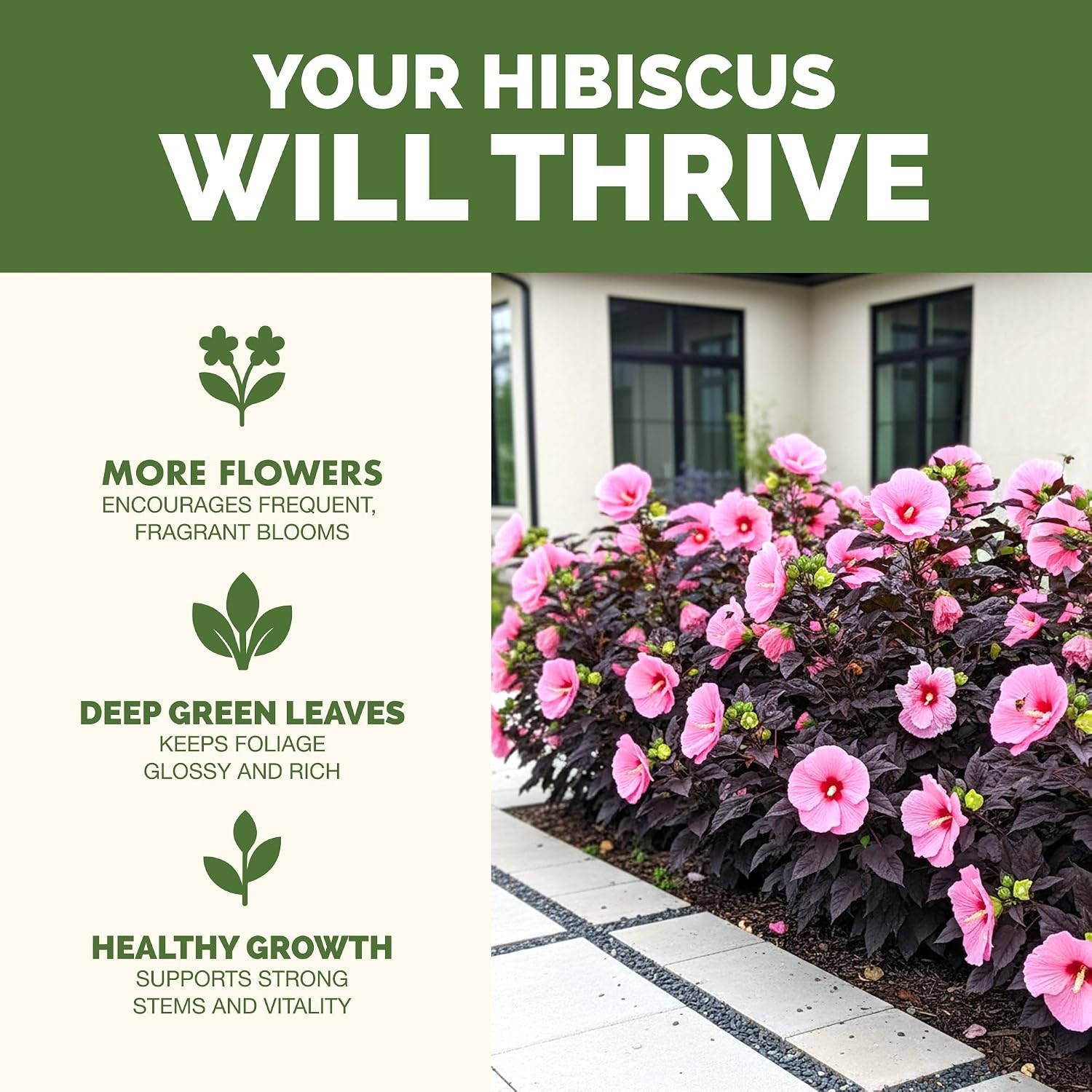 Hibiscus Fertilizer – Liquid Plant Food for More Blooms, 8 oz | Supports Vibr…