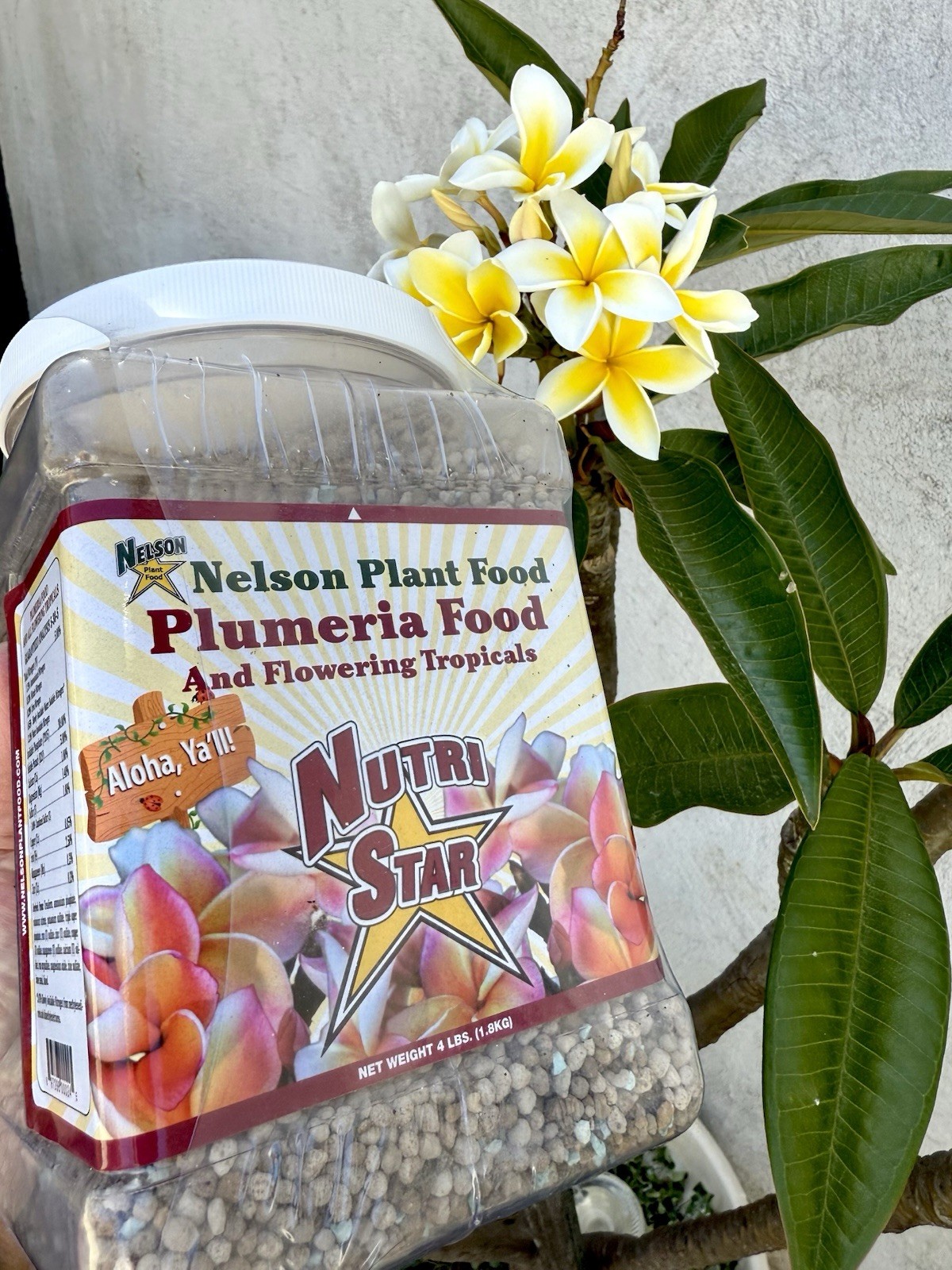 Nelson Plant Food Plumeria Food & Flowering Tropicals Nutri Star 4 Lbs.