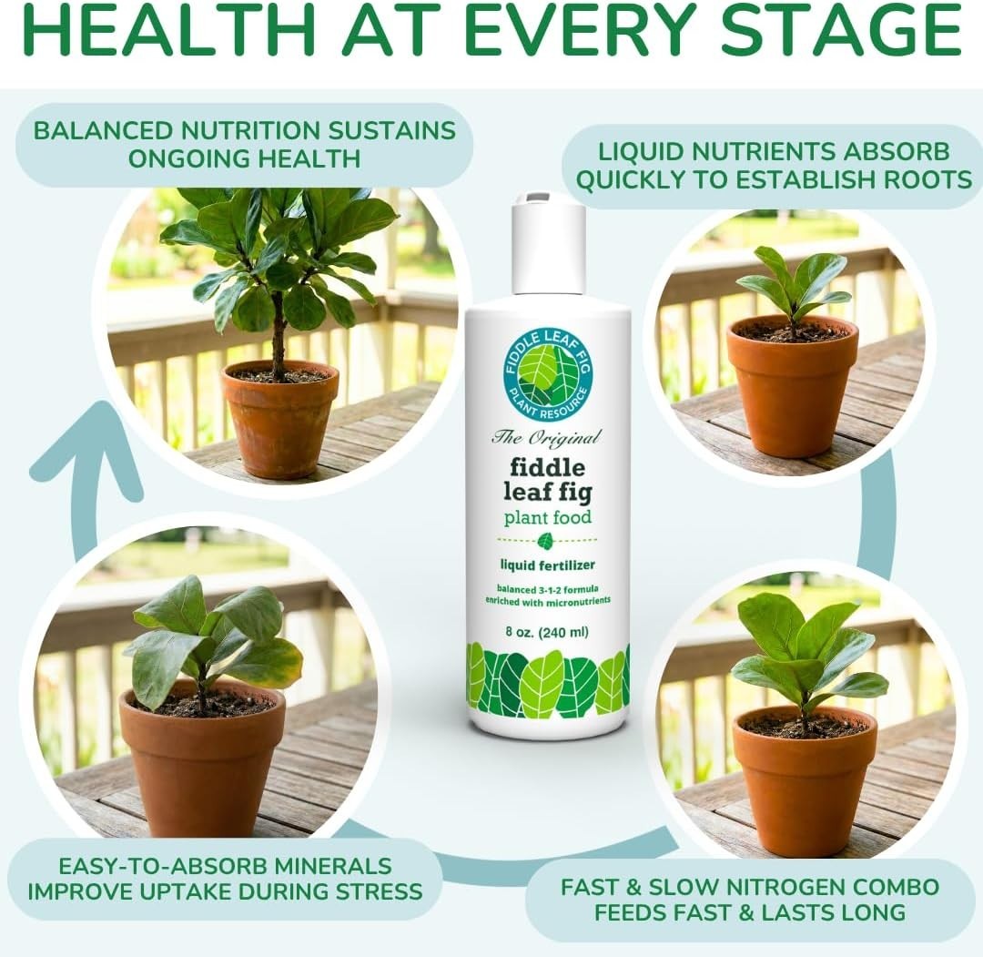 3-1-2 NPK Liquid Fertilizer for Ficus, 8 oz