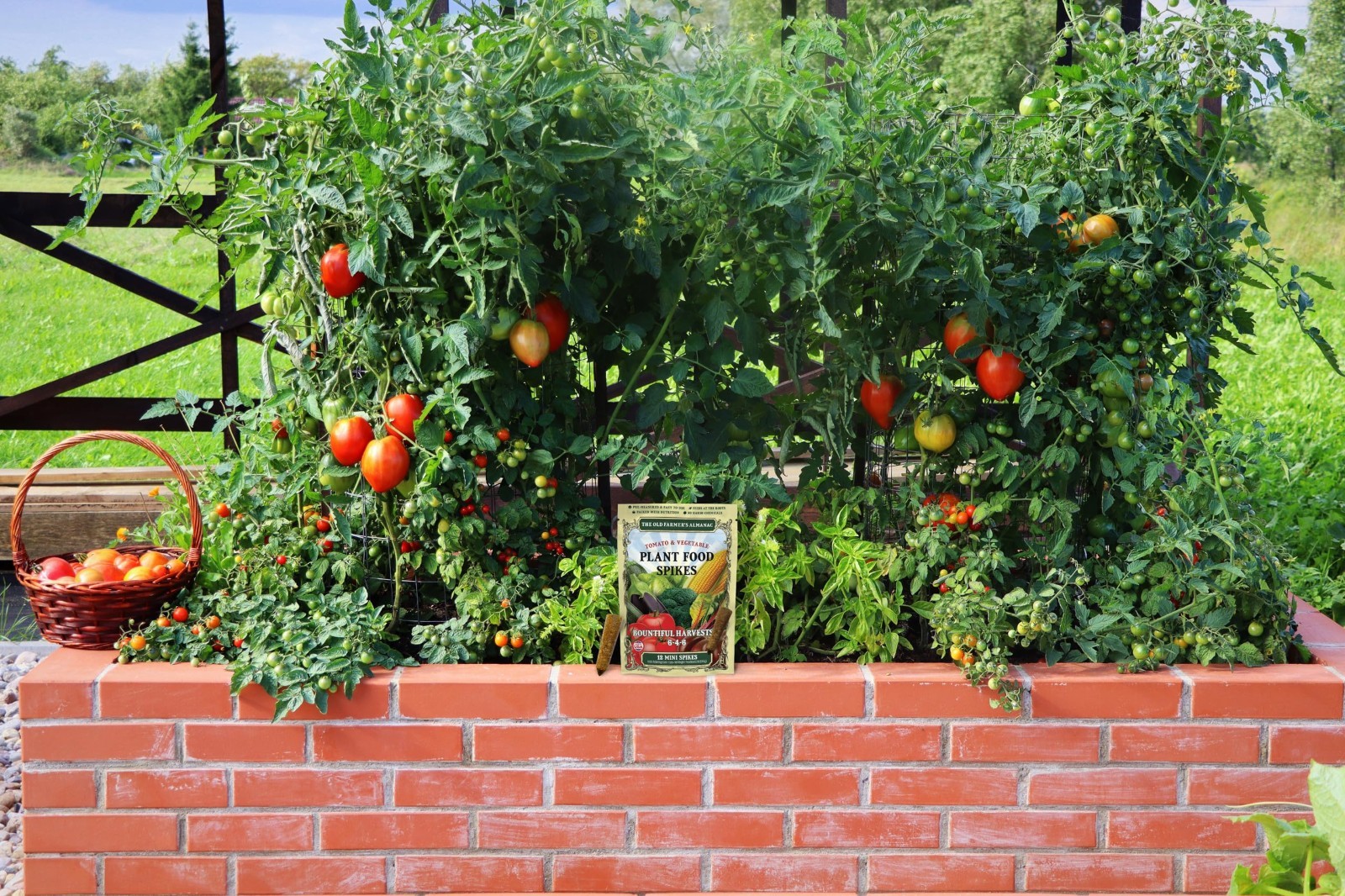 Tomato & Vegetable Plant Food Mini Spikes – NPK 6-4-6 for Bountiful Harvests (24