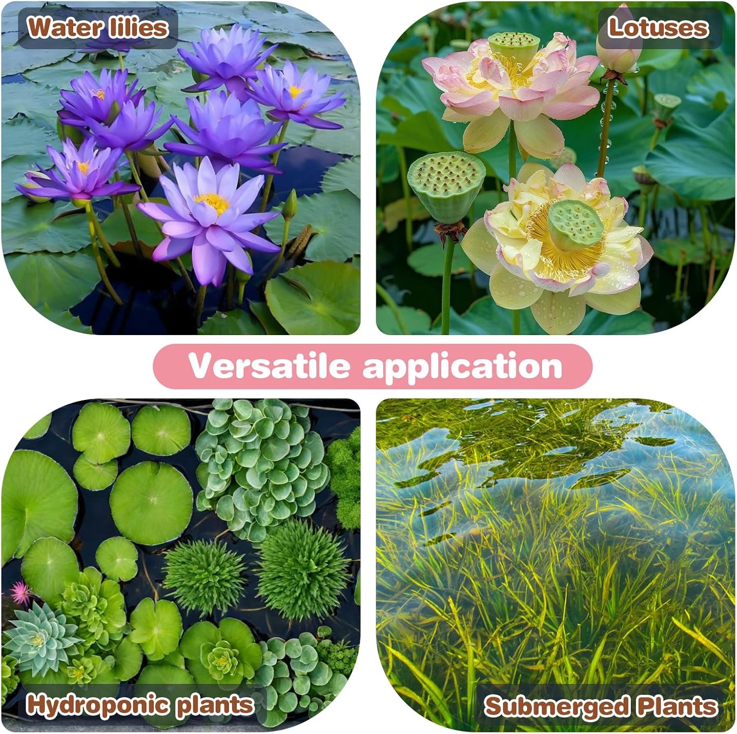 Aquatic Plant Soil & Aquarium Soil, Natural Organic Substrate for Water Plants –