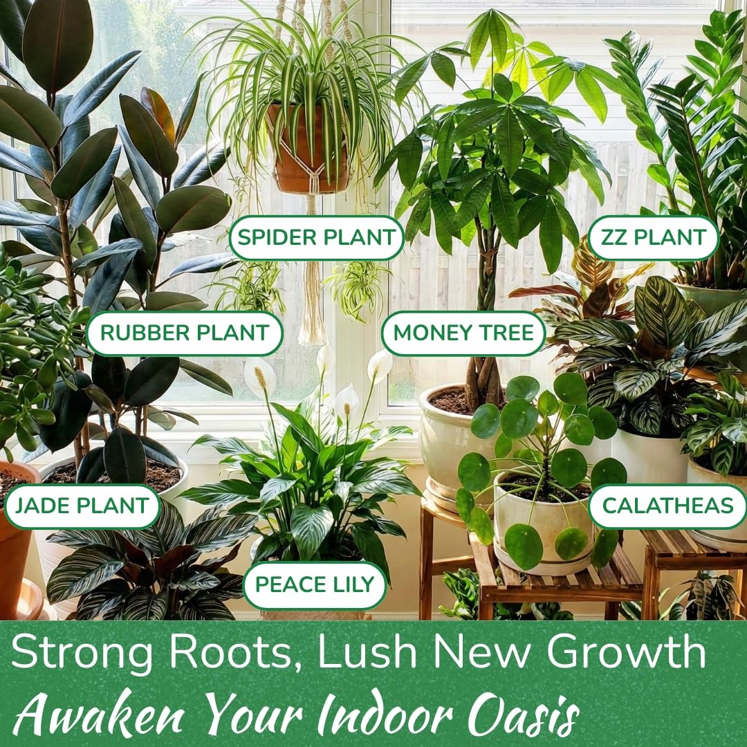 Indoor Plant Food by – Organic Liquid Fertilizer for Pothos Peace Lily Monstera