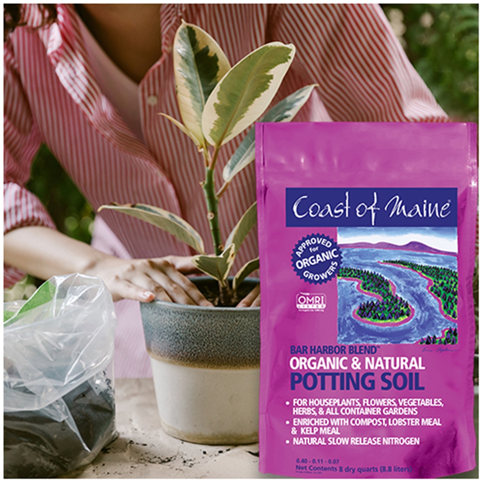 Coast of Maine (#BH8P) Bar Harbor Blend Organic Potting Soil, 8 qt (Pack of 8)