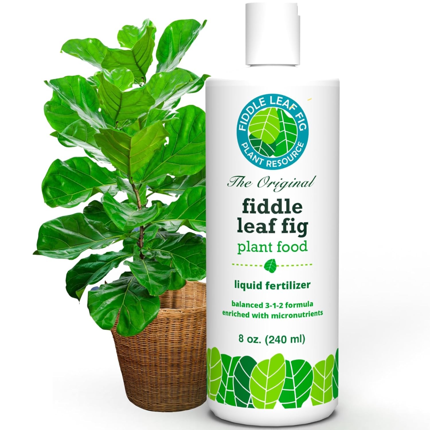Fiddle Leaf Fig Food Liquid Fertilizer NPK 3-1-2 Large Leaf Plant Food Indoor