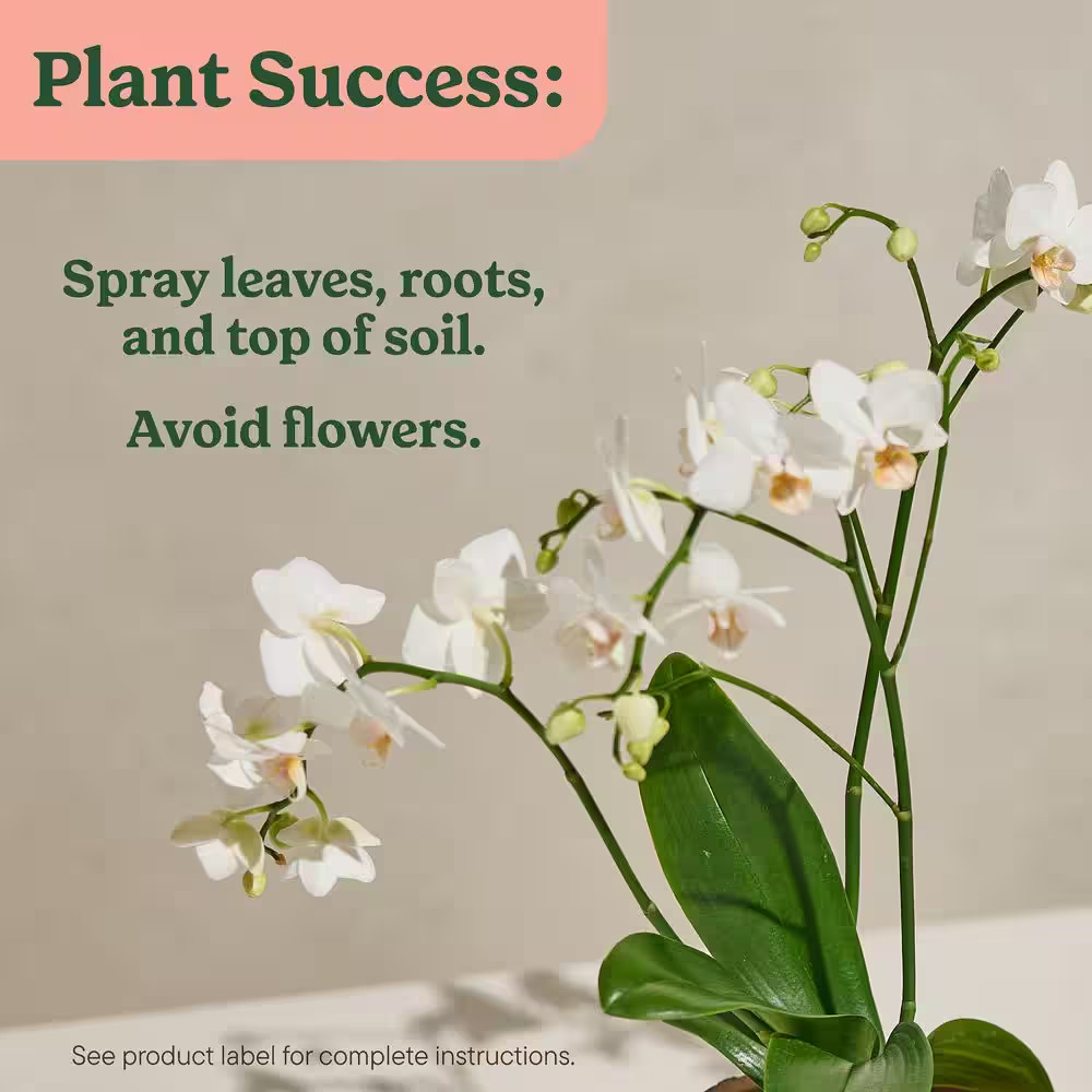Indoor Plant Food Mist for Orchids 8 Fl. Oz. Orchid Plant Food
