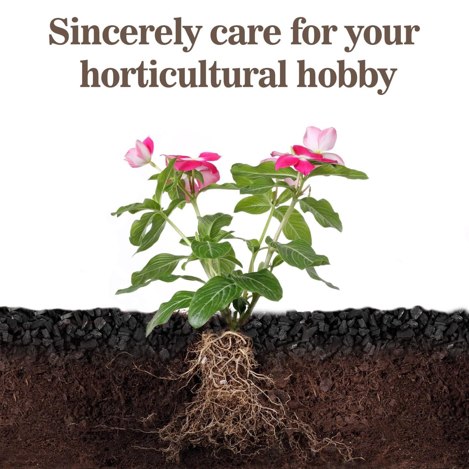 RAINFLOW Horticultural Charcoal for Plants – 290G Natural Earth Regulated…