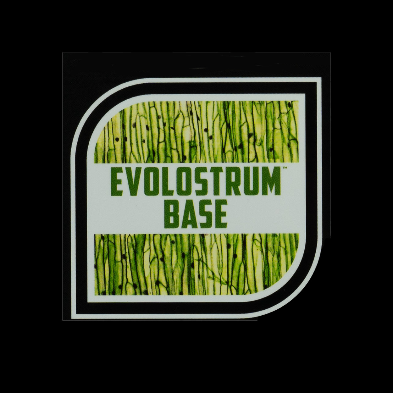 Evolostrum Base Liquid Fertilizer 128 fl oz by BioAg