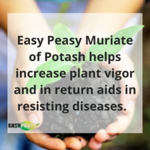 Enhance Your Garden with 5lbs of All-Natural Potassium Granular Fertilizer