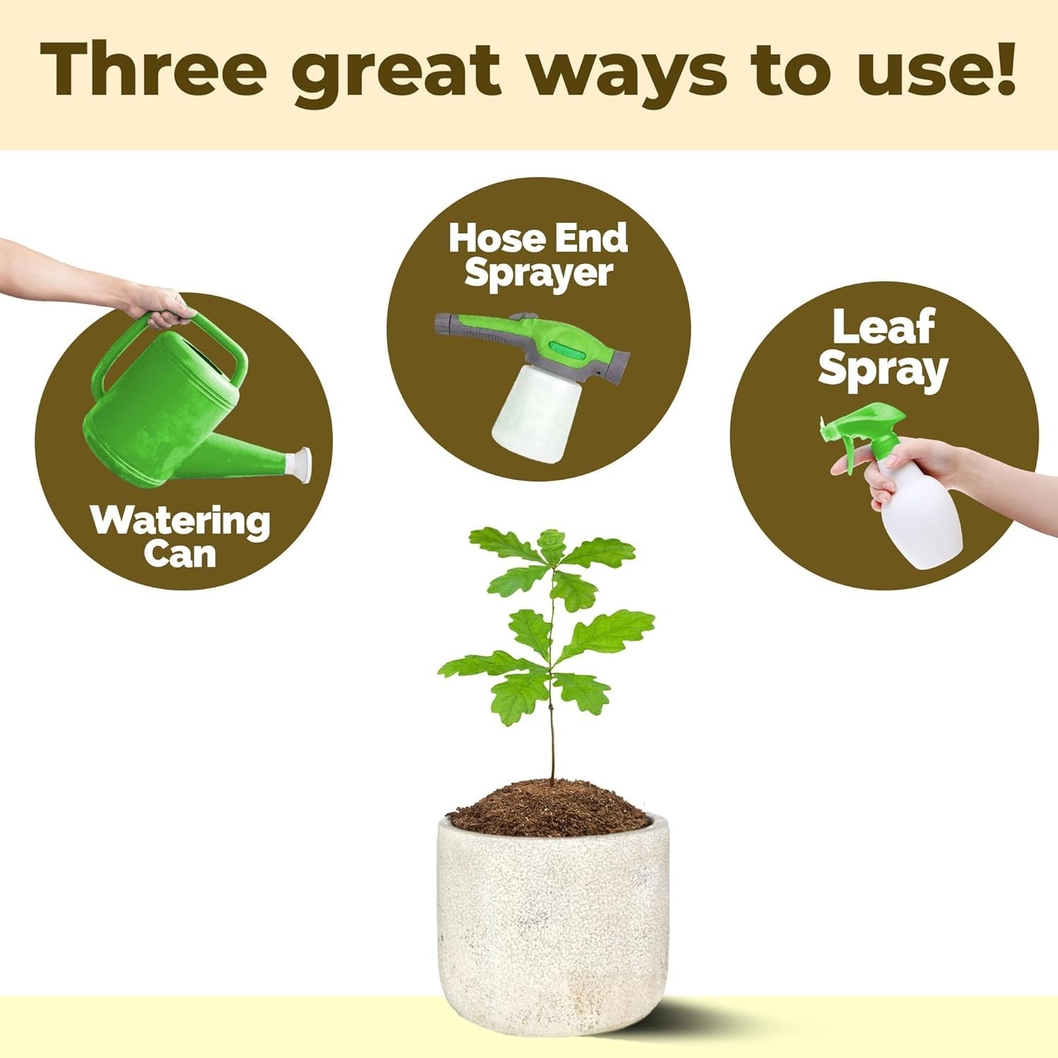 USA-Made Oak Tree Fertilizer – Vibrant Leaves & Strong Roots