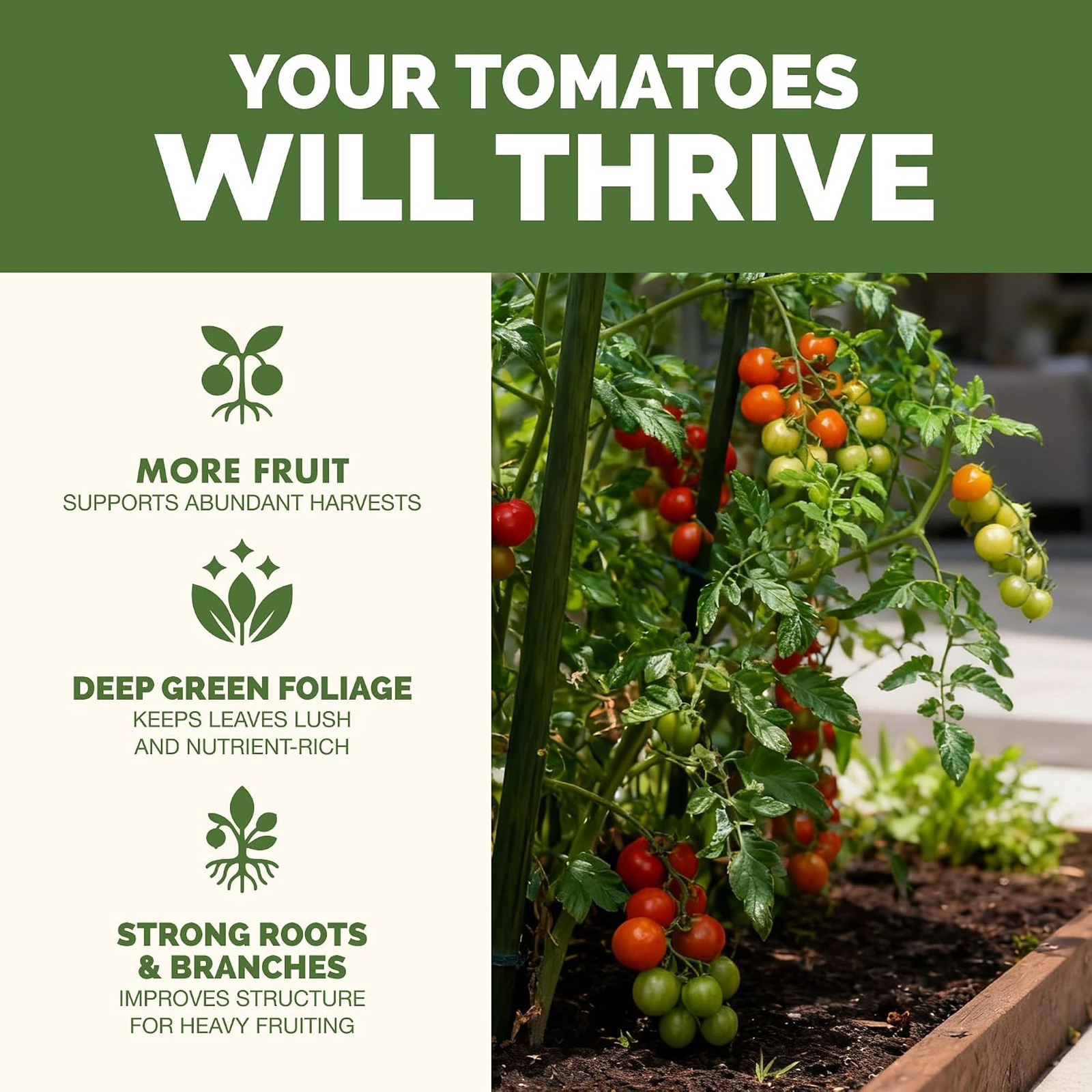 Garden Fertilizers
