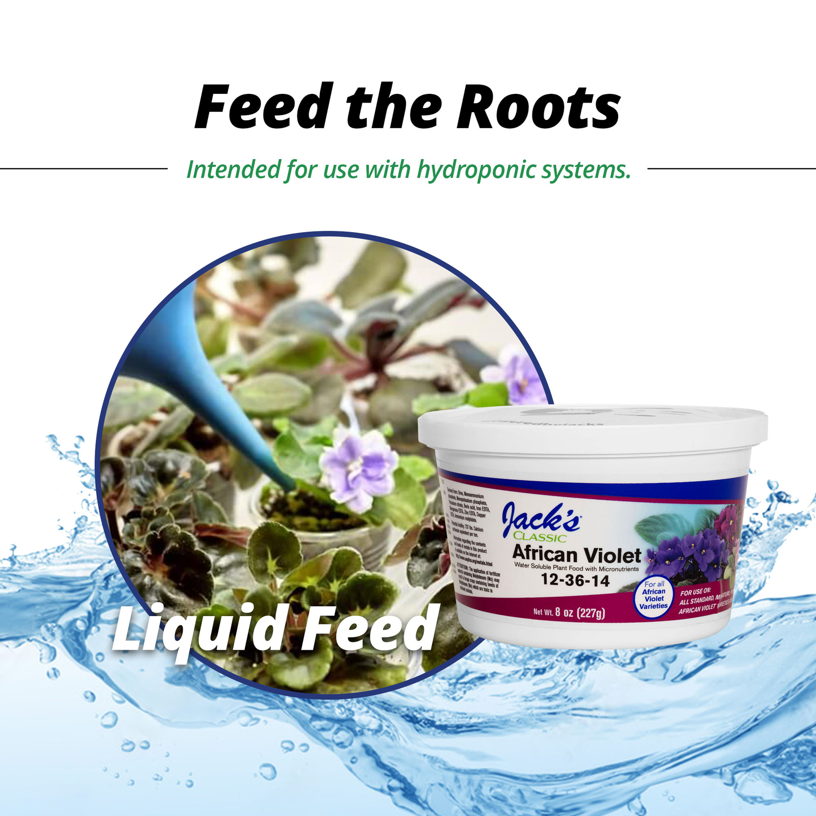 Jack’s Classic 12-36-14 African Violet Water Soluble Plant Food, 8 oz
