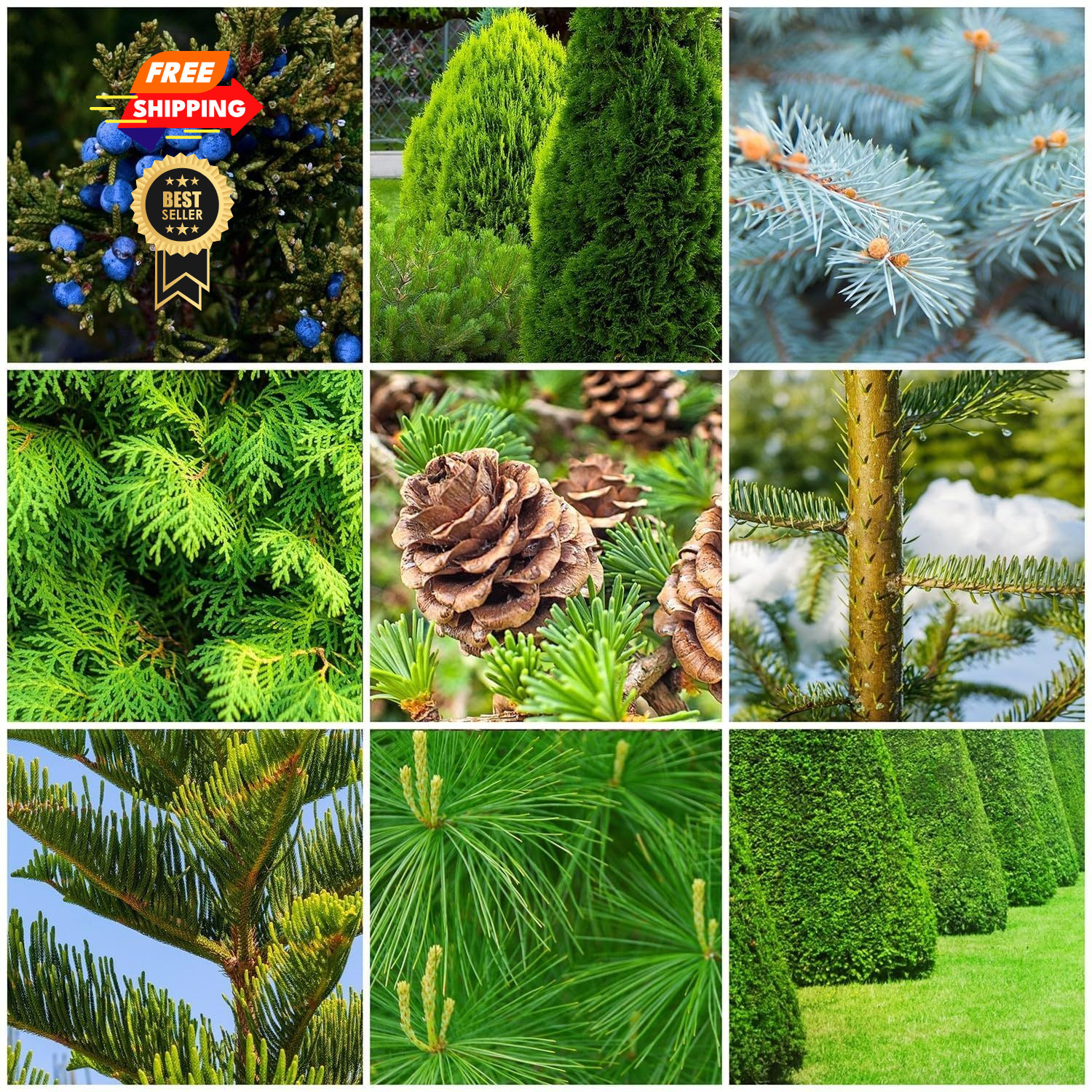 The Old Farmer’s Almanac Evergreen Tree & Shrub 24 Spikes – 6.0 Lbs