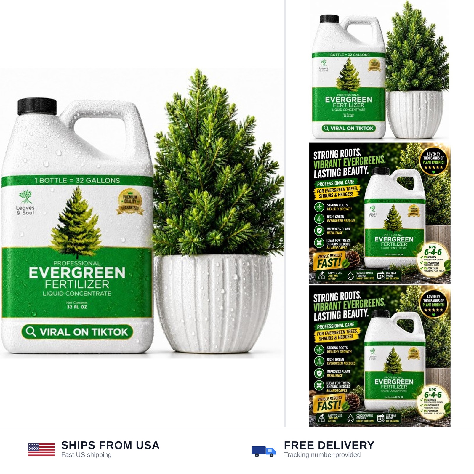Leaves and Soul Evergreen Tree Fertilizer 32 oz, Professional Liquid Evergree…