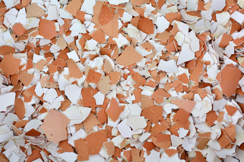 Crushed Eggshells Ceylon Organic Calcium Fertilizer Egg Shells Garden Slugs 200G