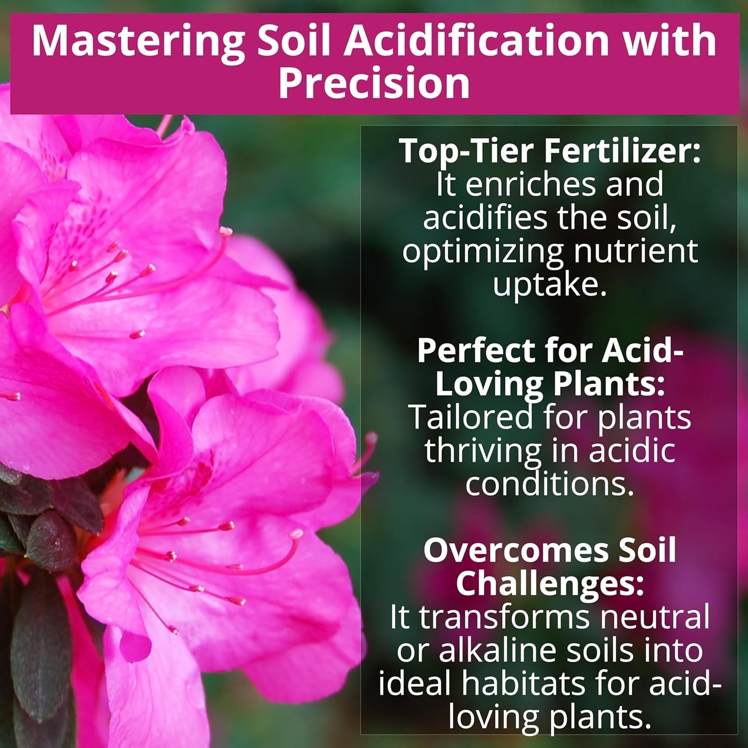 1 Quart 8-4-8 Iron-Rich Fertilizer for Blooms: Ideal for Blueberries & Gardenias