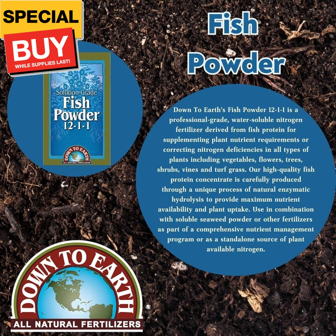Fish Powder 12-1-1, 1 lb