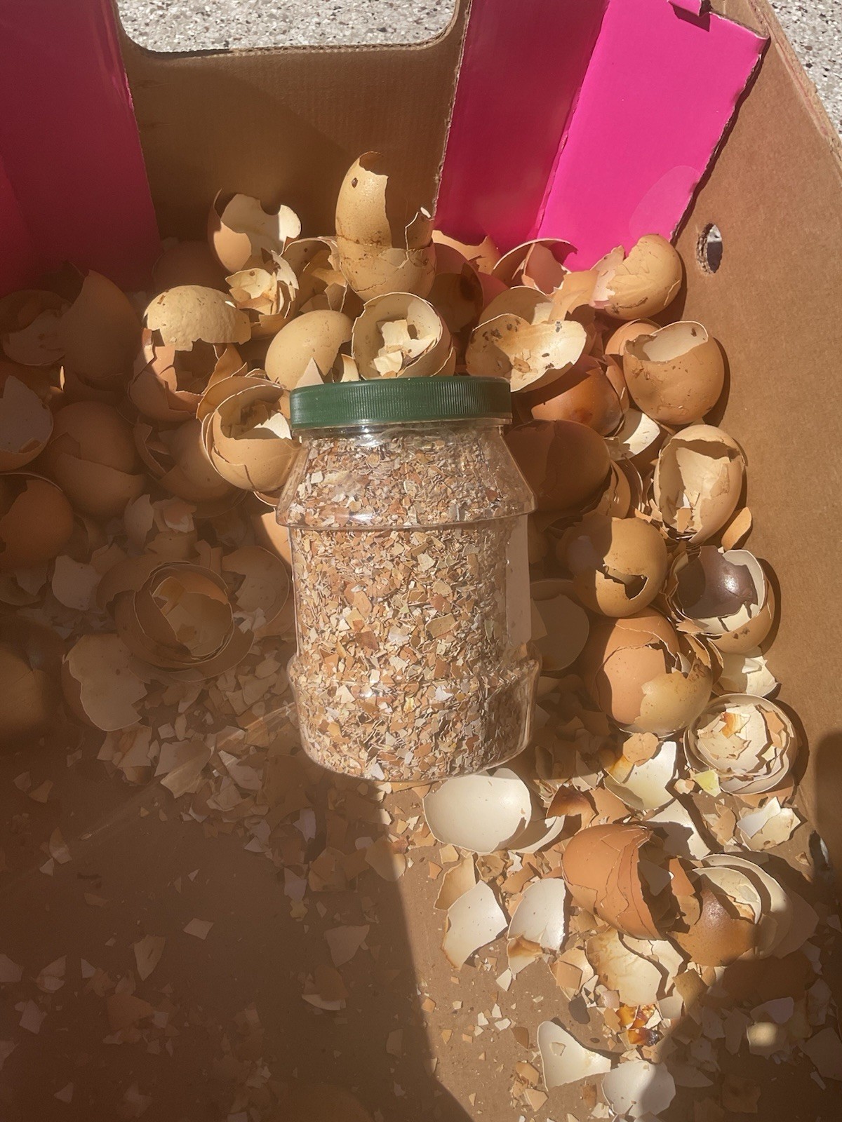 Crushed Eggshells 1 lb Calcium Fertilizer Egg Shells Garden Slugs Baked