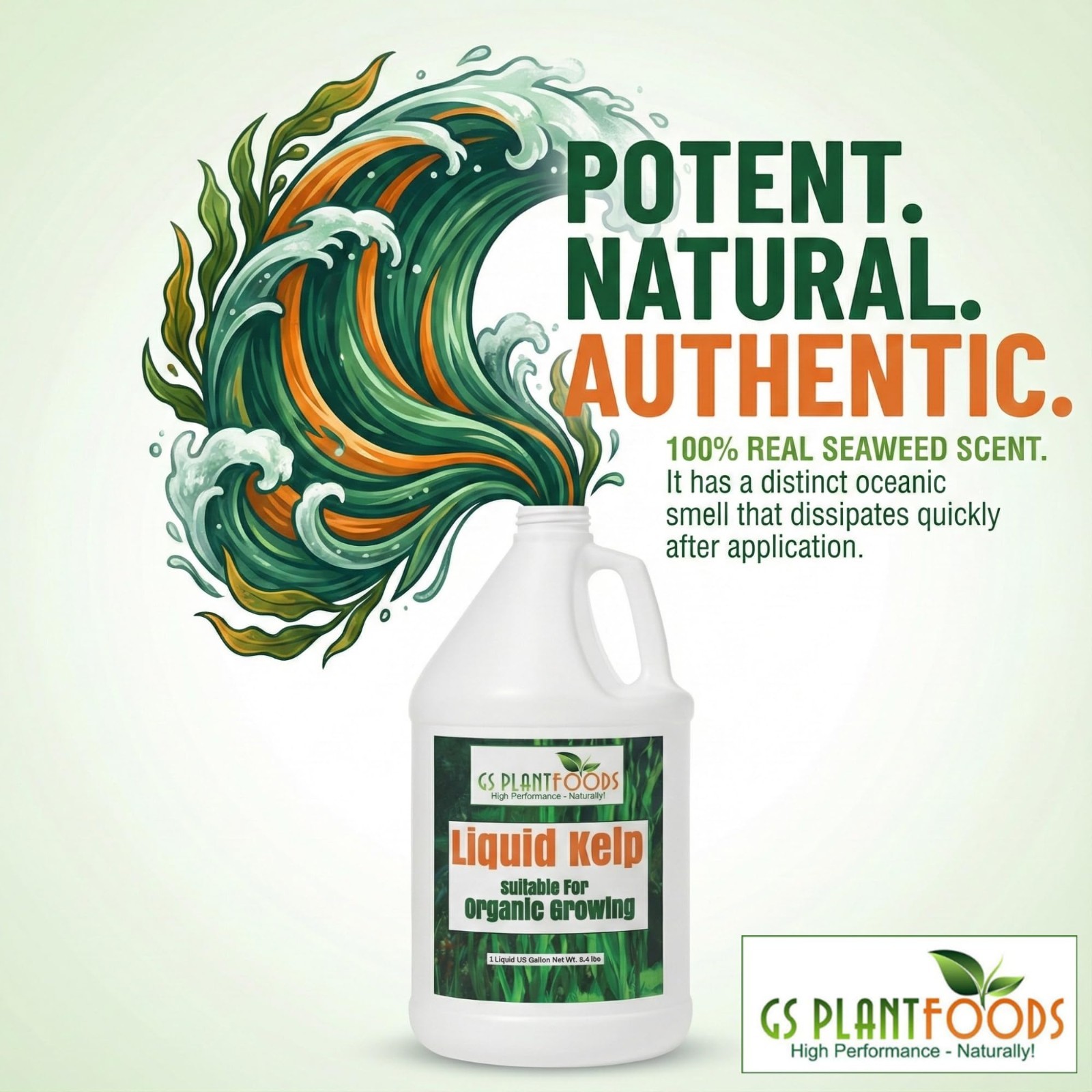 Organic Liquid Kelp Fertilizer – Seaweed Concentrate for Lawns & Gardens, 1 Gall