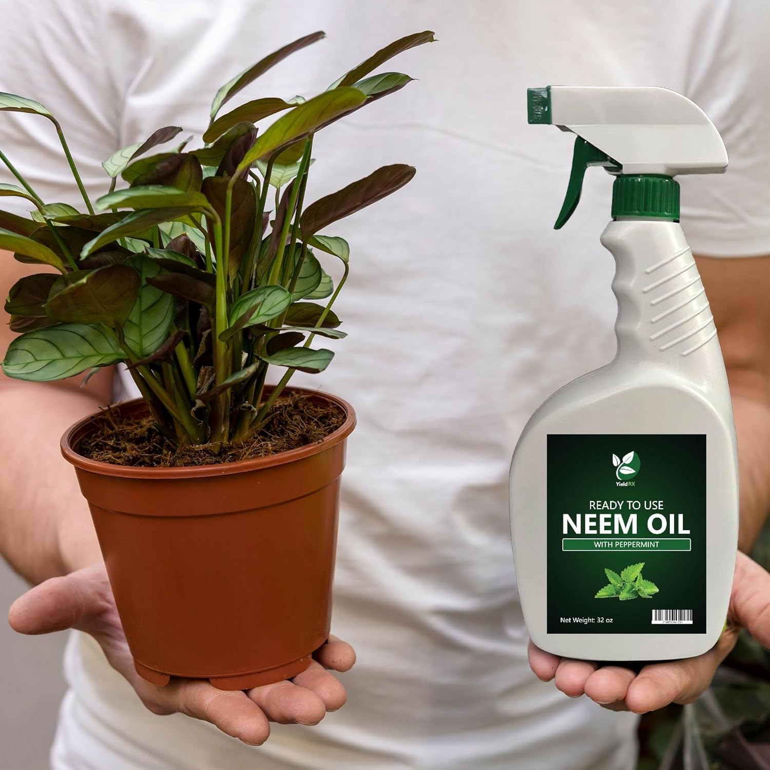 Yield RX Ready-to-Use 32oz Neem Oil Spray with Peppermint for Plants