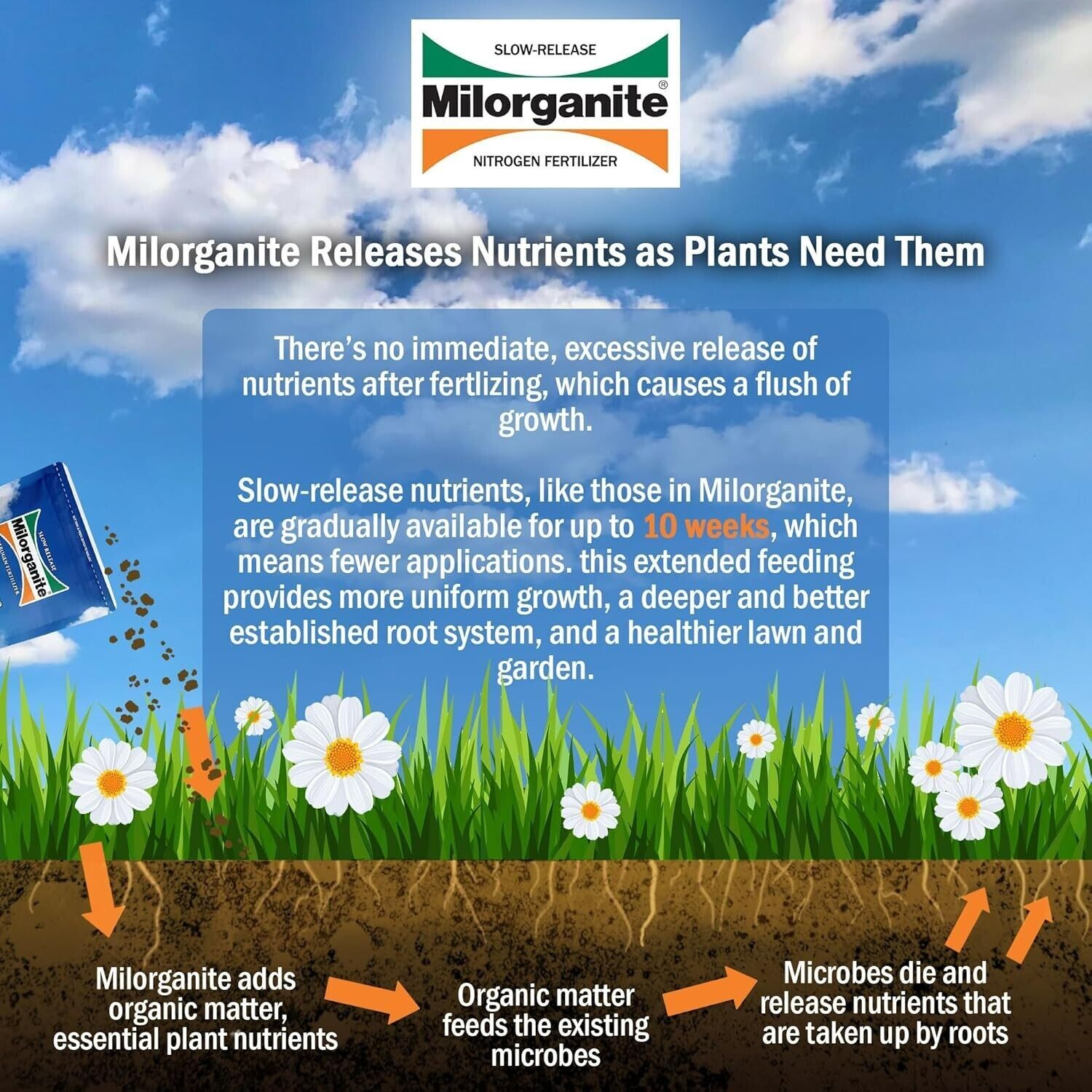 All-Purpose EcoFriendly Slow-Release Nitrogen 6-4-0 Fertilizer 5 Pound Bag FD225