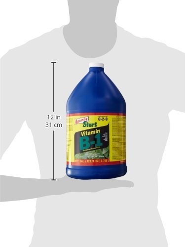 Liquinox 0-2-0 Start with Vitamin B-1, 1-Gallon