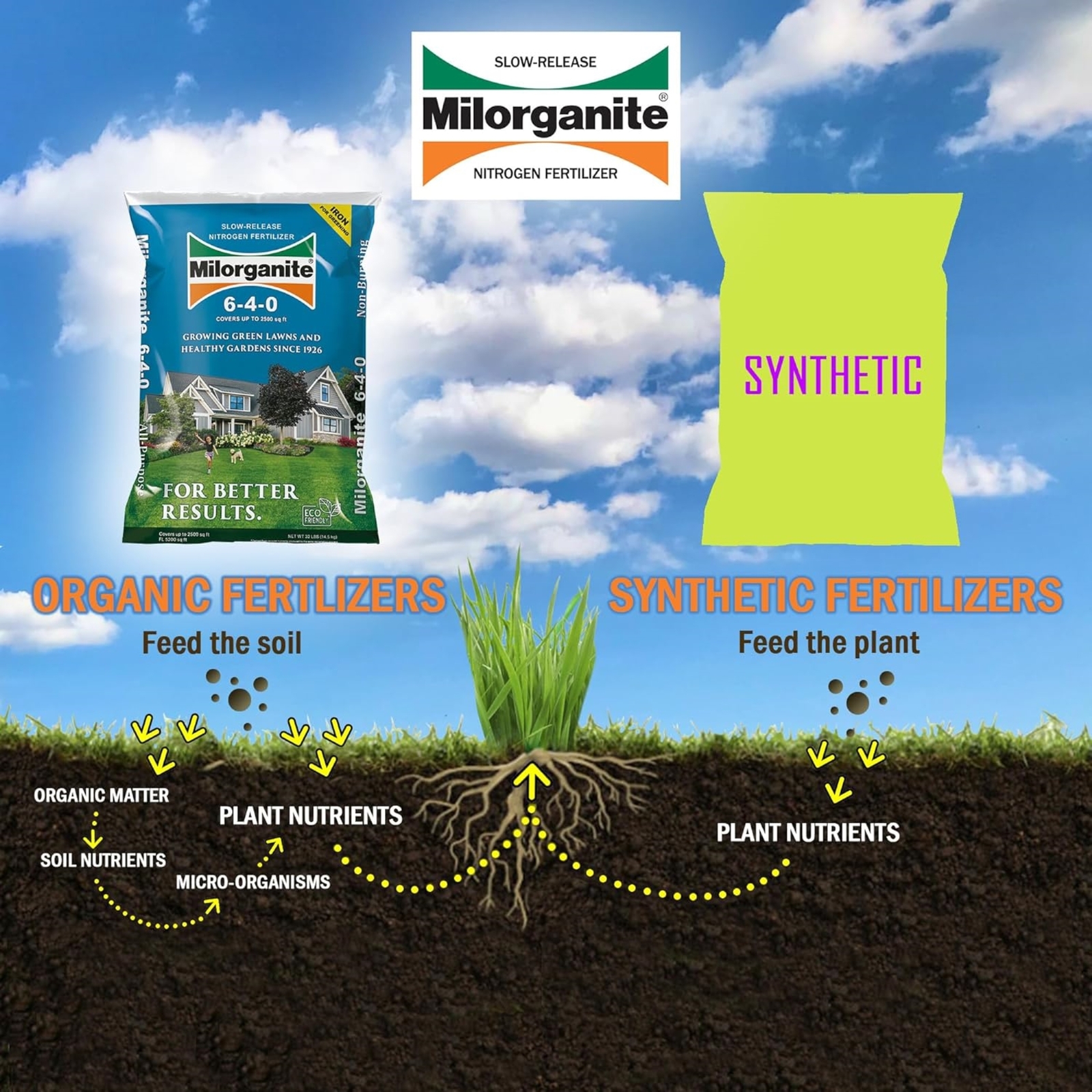 Milorganite Slow Release Nitrogen Lawn Fertilizer 6-4-0, 32 Pounds (Pack of 2)