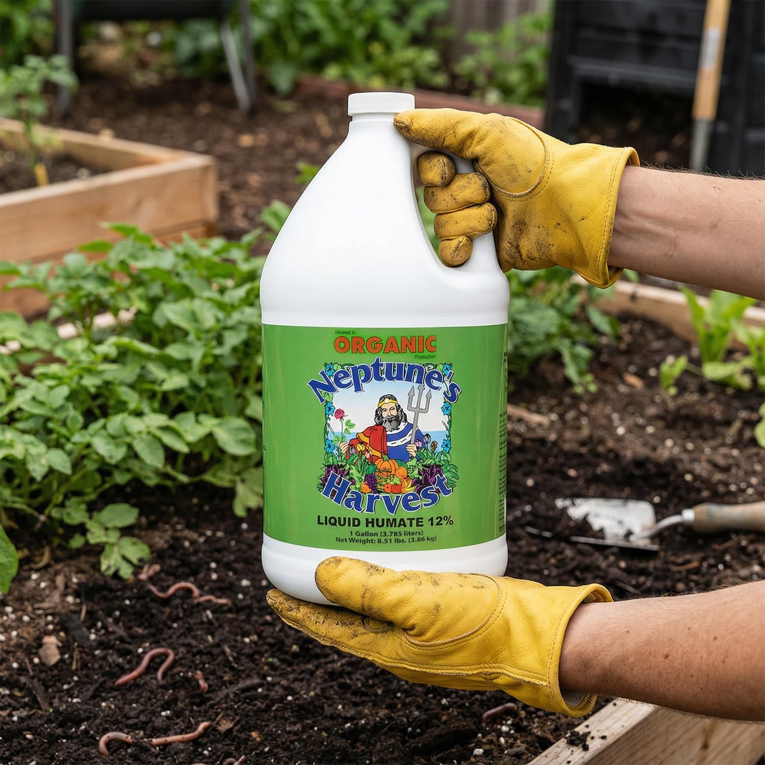 Liquid Humate 12 Concentrate – Organic Soil Conditioner with Humic Acid