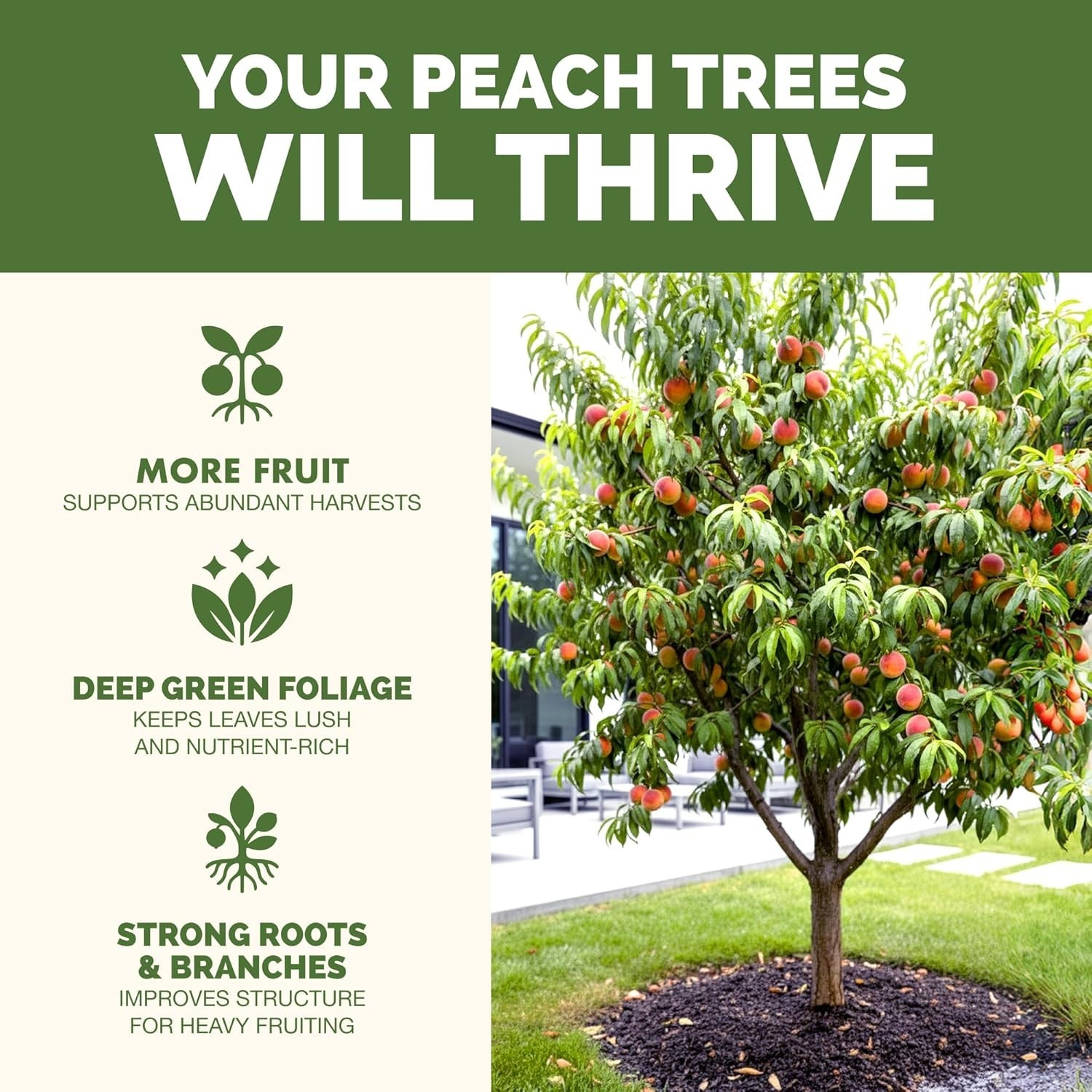 TPS NUTRIENTS Peach Tree Fertilizer for All Peach, Nectarine and Stone Fru