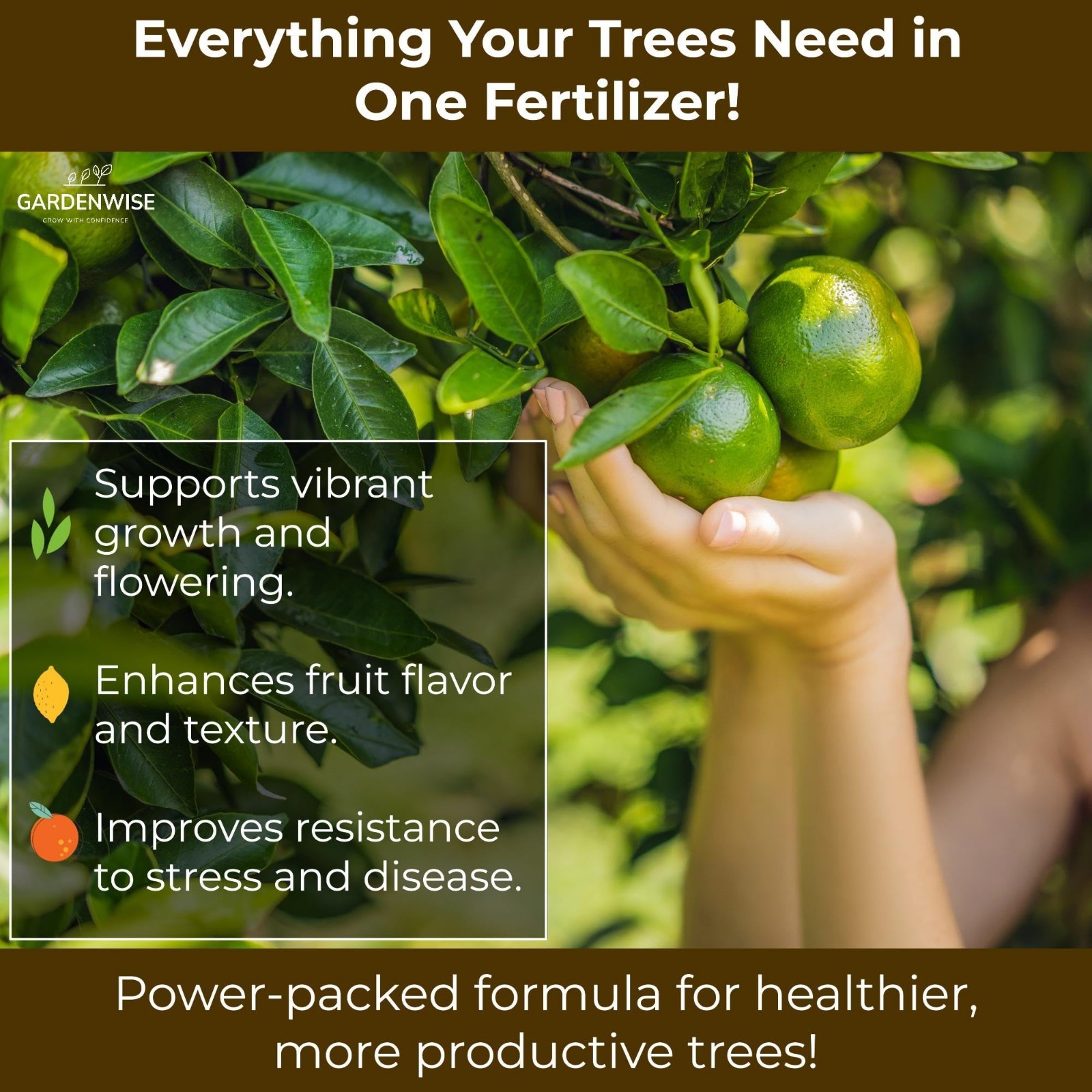 Citrus Fertilizer with Micronutrients – Balanced NPK for Indoor & Outdoor Plants