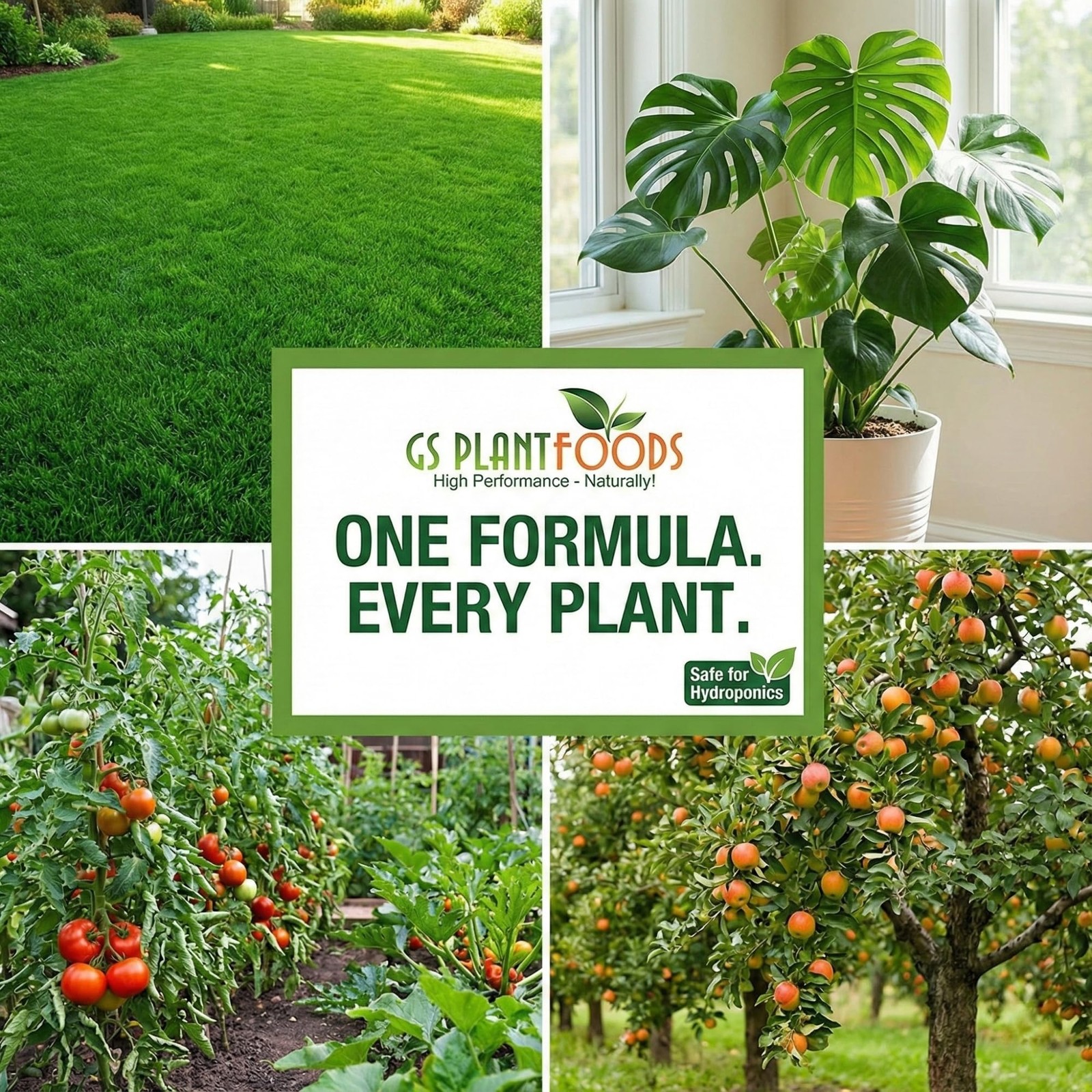 Humic Acid Soil Amendment – Leonardite-Derived Liquid Concentrate for Improve…
