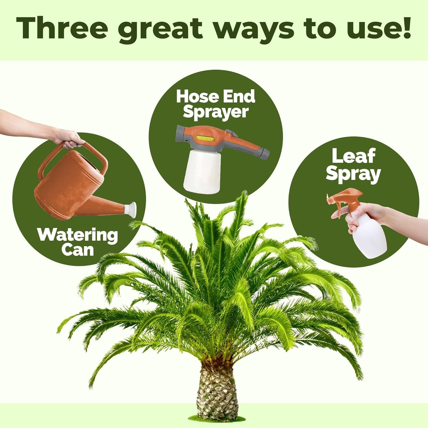 Sago Palm Fertilizer, Complete Liquid Plant Food, 8 8 oz (1/2 Pint)