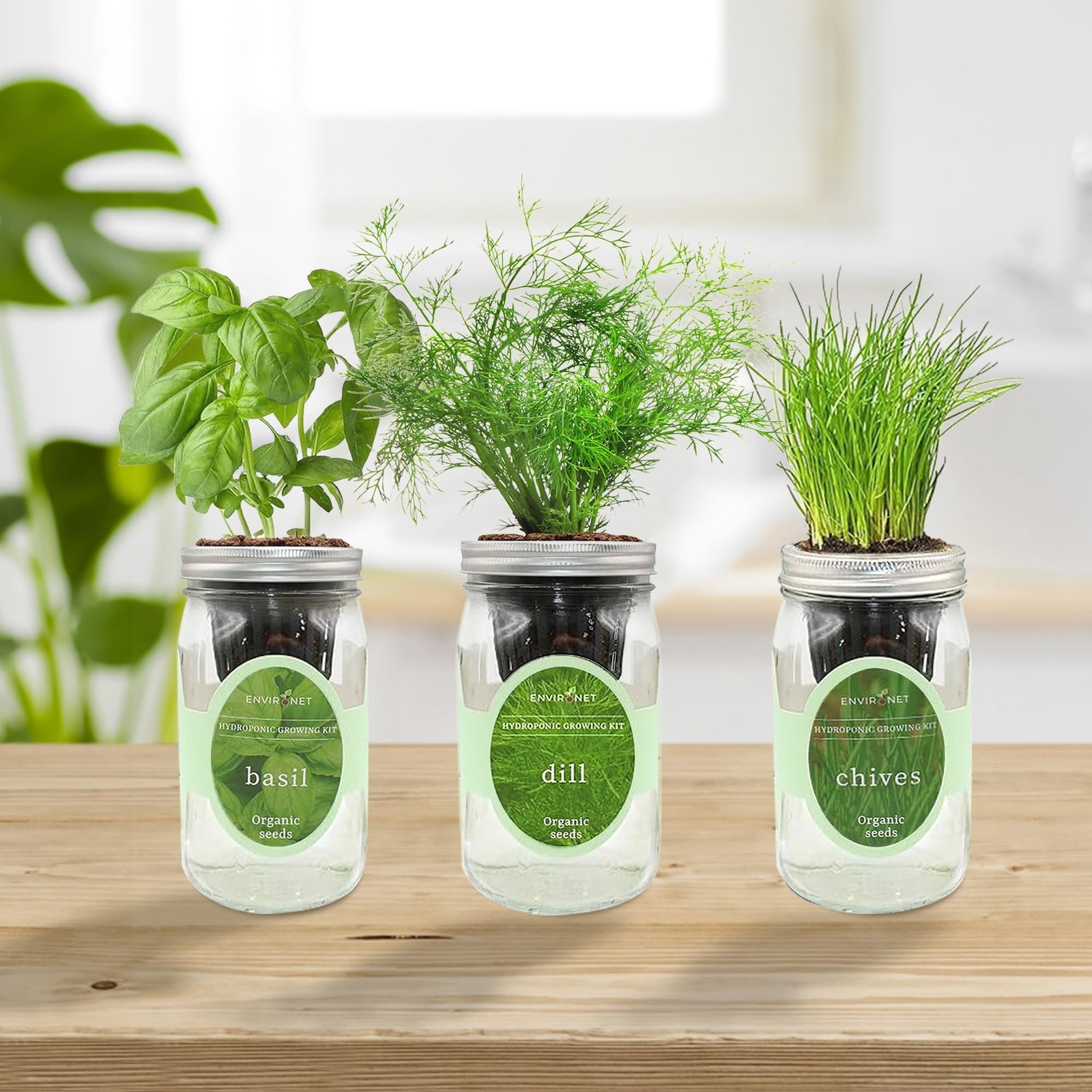 Hydroponic Herb Growing Kit Set, Self-Watering Mason Jar Herb Garden Starter …