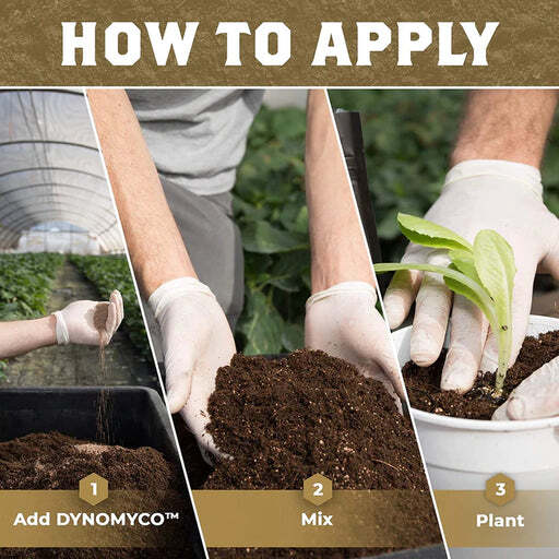 DYNOMYCO PURE MYCORRHIZAL INOCULANT ORGANIC ROOT ENHANCER
