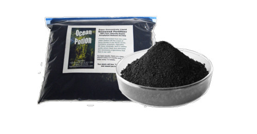 Kelp Seaweed 100% Organic Fertilizer Water Soluble Powder