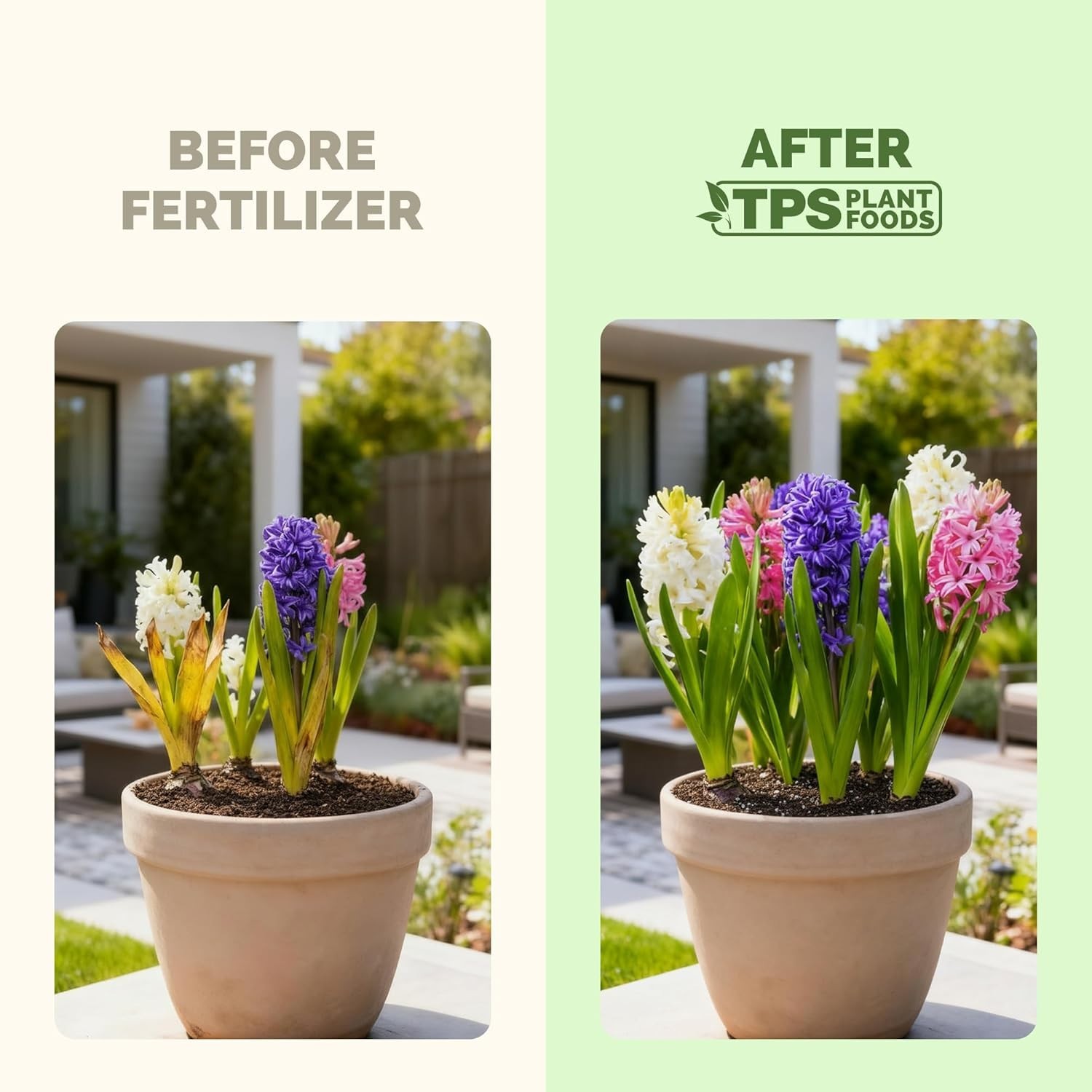 Liquid Bulb Fertilizer for Strong Roots & Vibrant Blooms – 8 oz