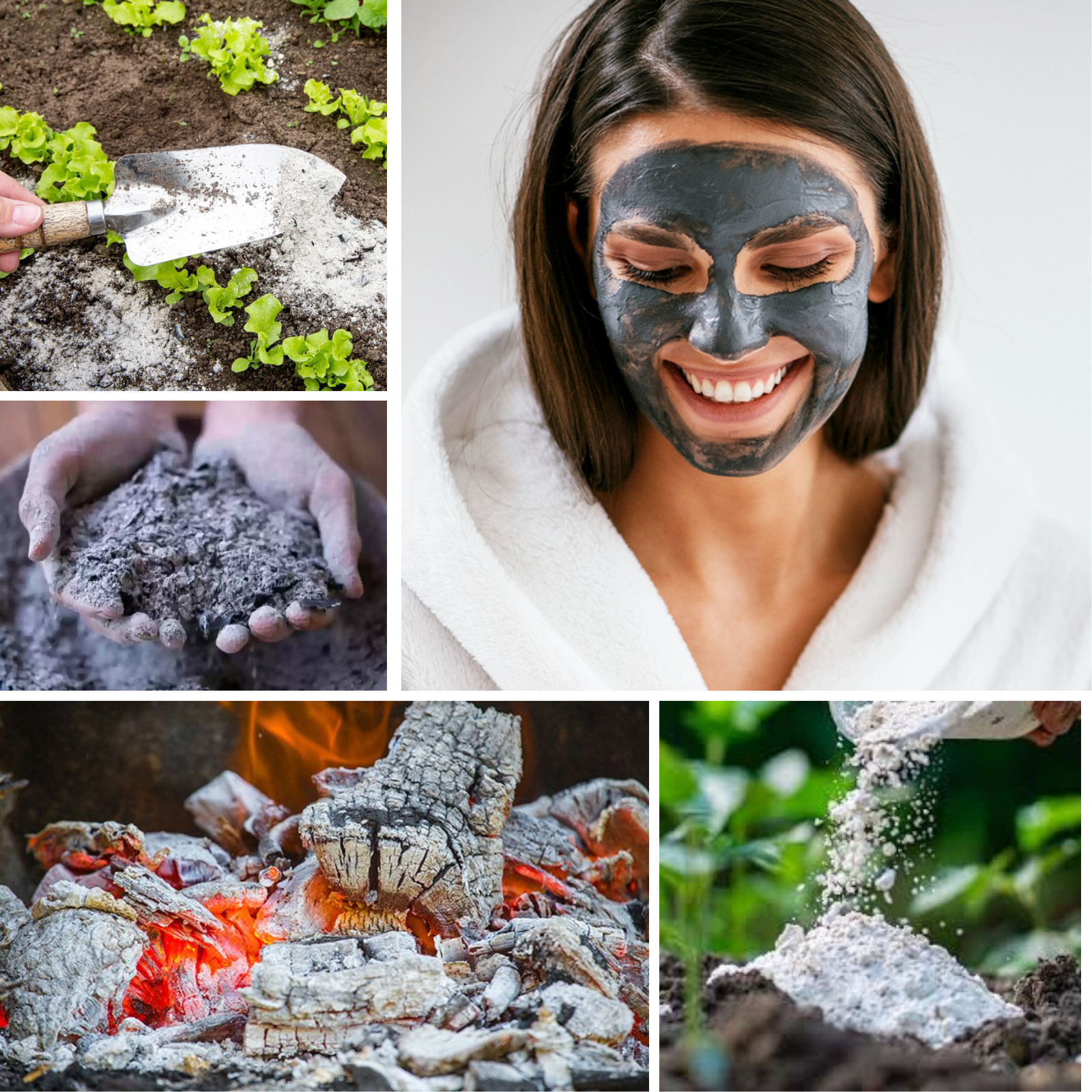WOOD ASH POWDER GARDENING FERTILIZER Natural Compost Soap Pure, Free Shipp+ 150g