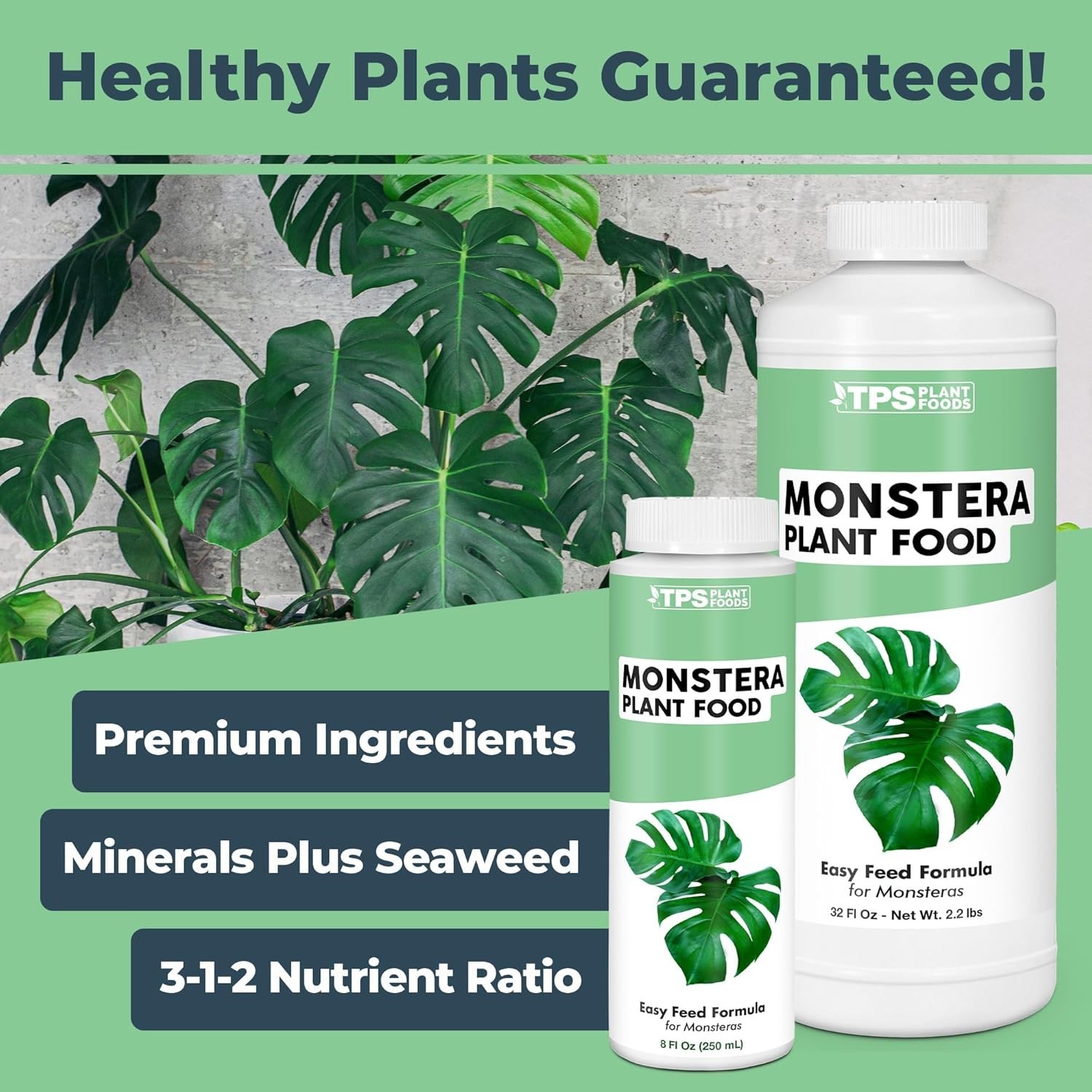 Monstera Plant Food – Liquid Fertilizer for Bigger Split Leaves, Lush Growth …