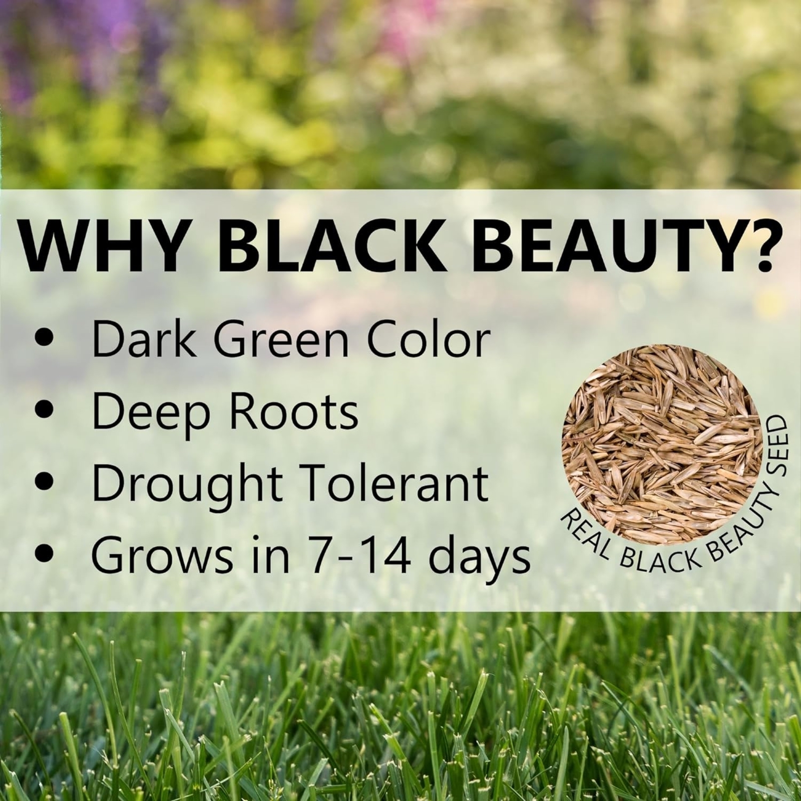 Jonathan Green Black Beauty Patcher – Mulch, Seed, & Fertilizer, 300 sq ft