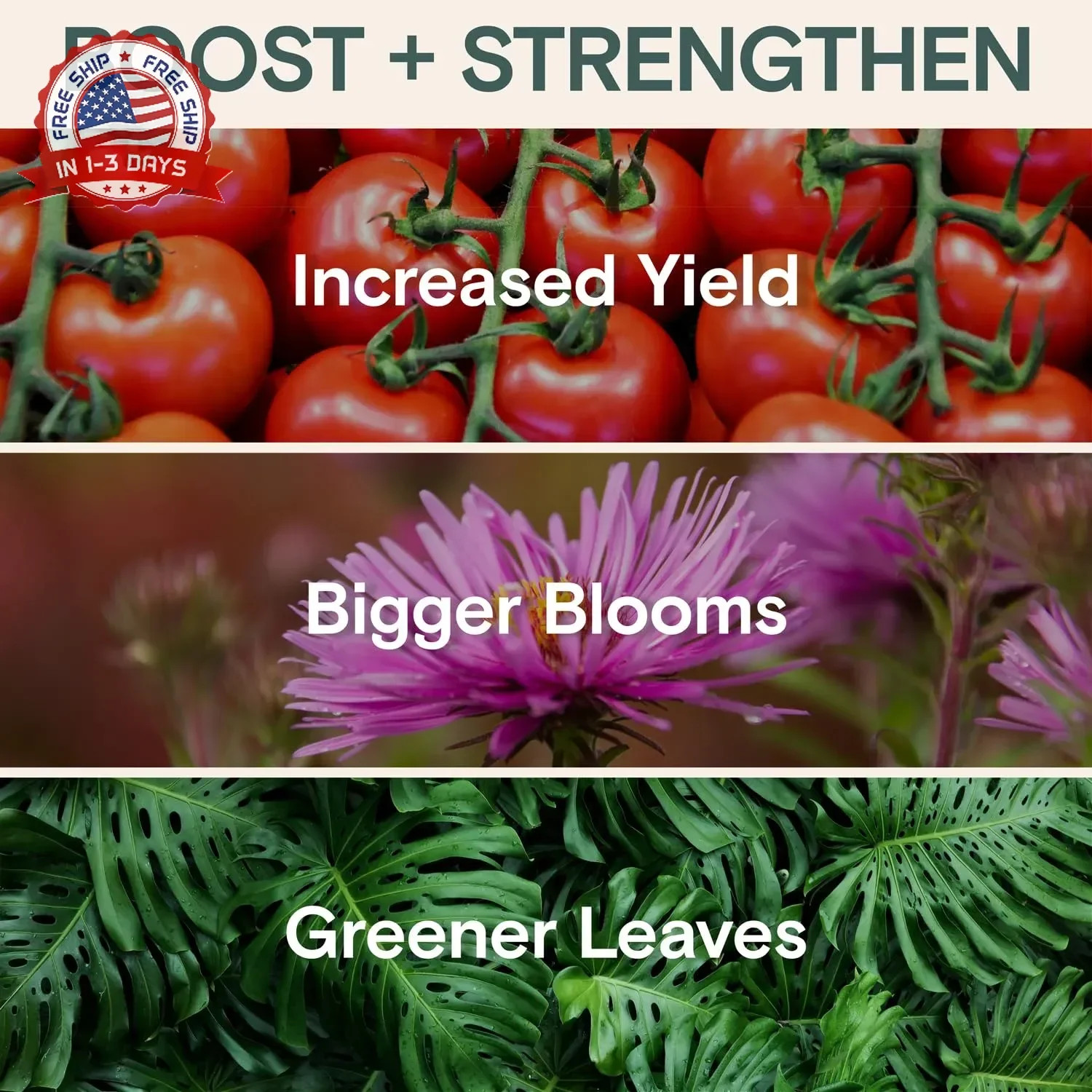 Organic Plant Food Liquid Fertilizer – Indoor & Outdoor Concentrate for Growth,