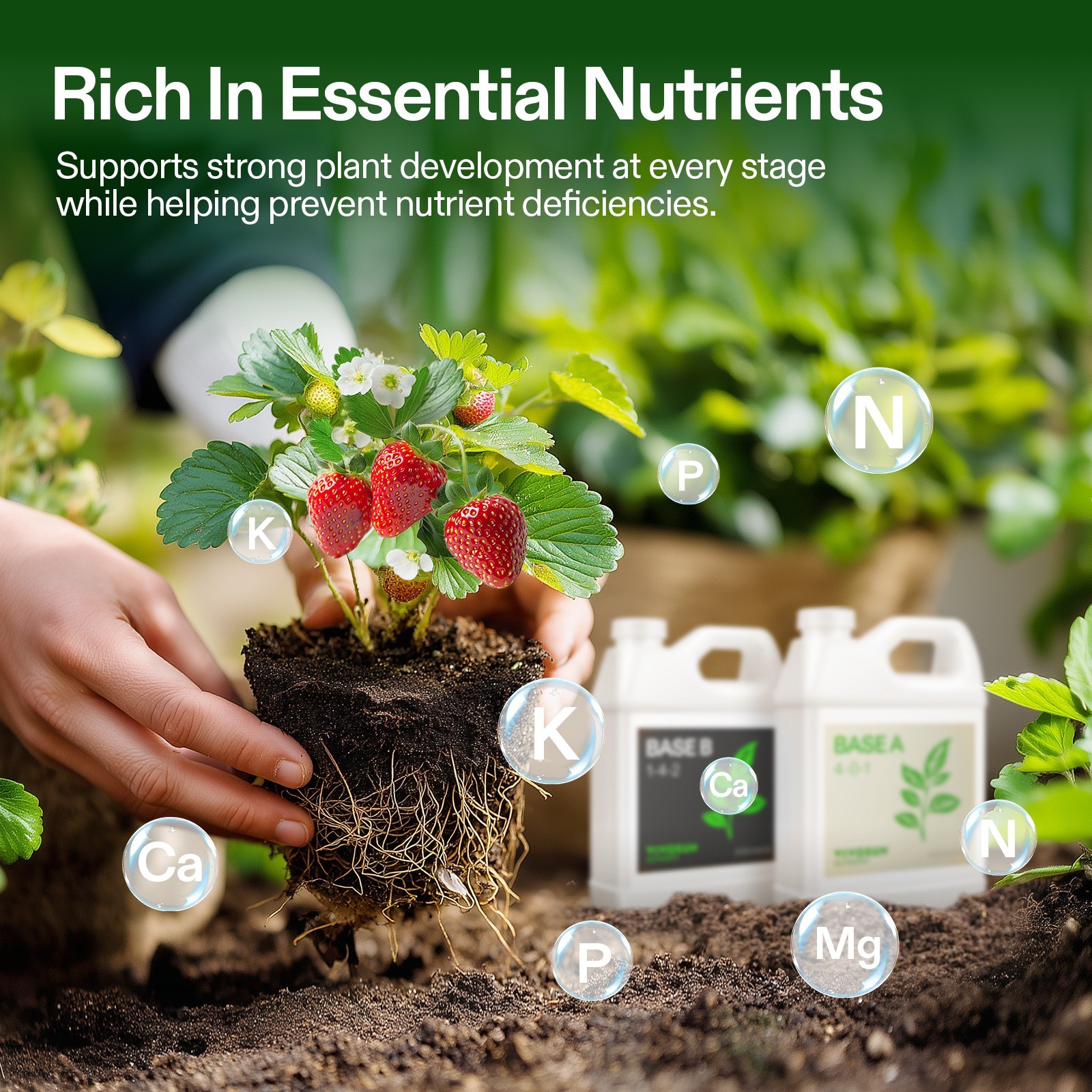 VIVOSUN 32 oz Liquid Nutrients Fertilizer Base A & B Bundle 100% Water Soluble