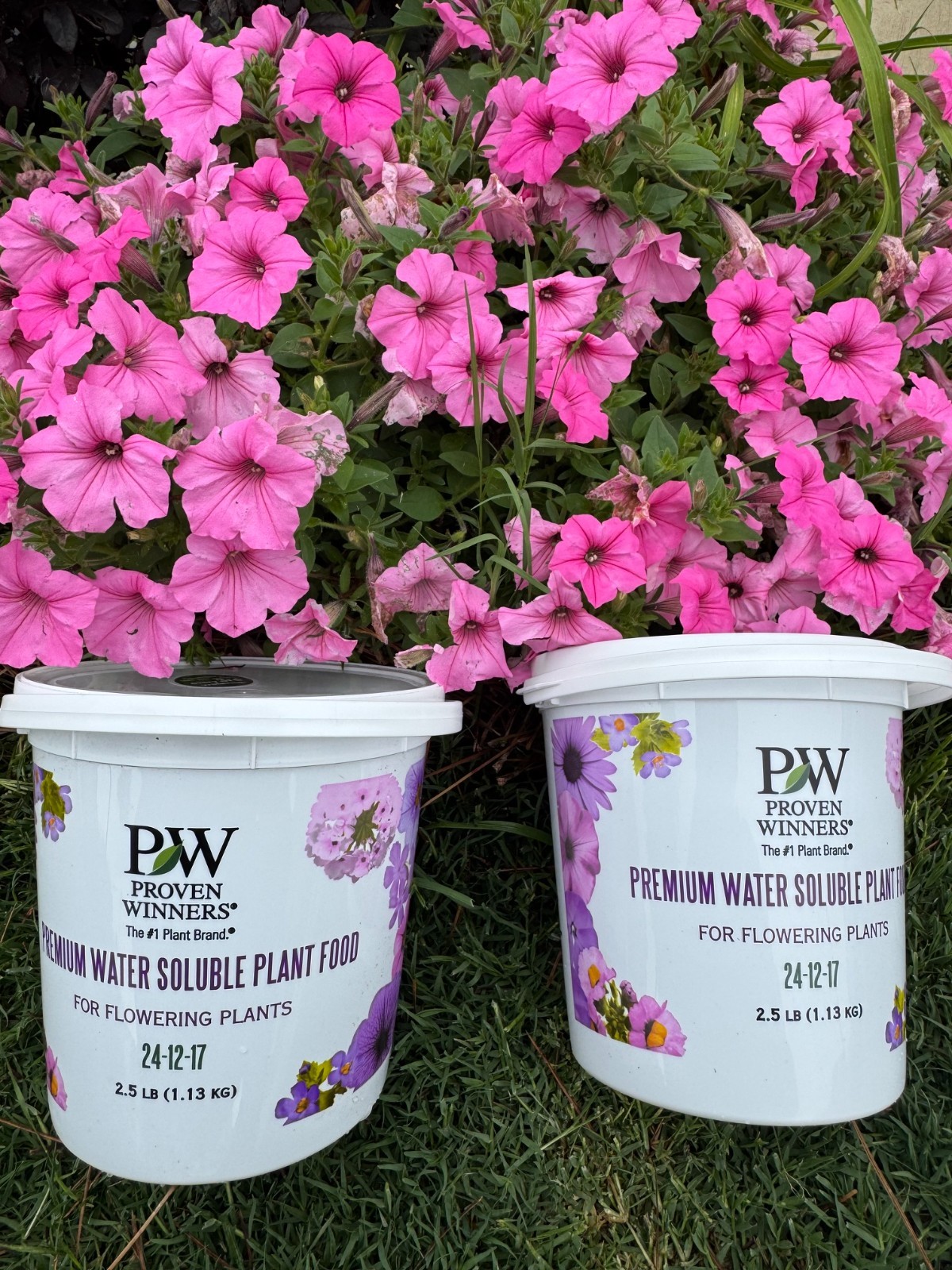 PROVEN WINNERS Water Soluble Fertilizer Water Soluble Plant Food 2.5 lb lot of 2